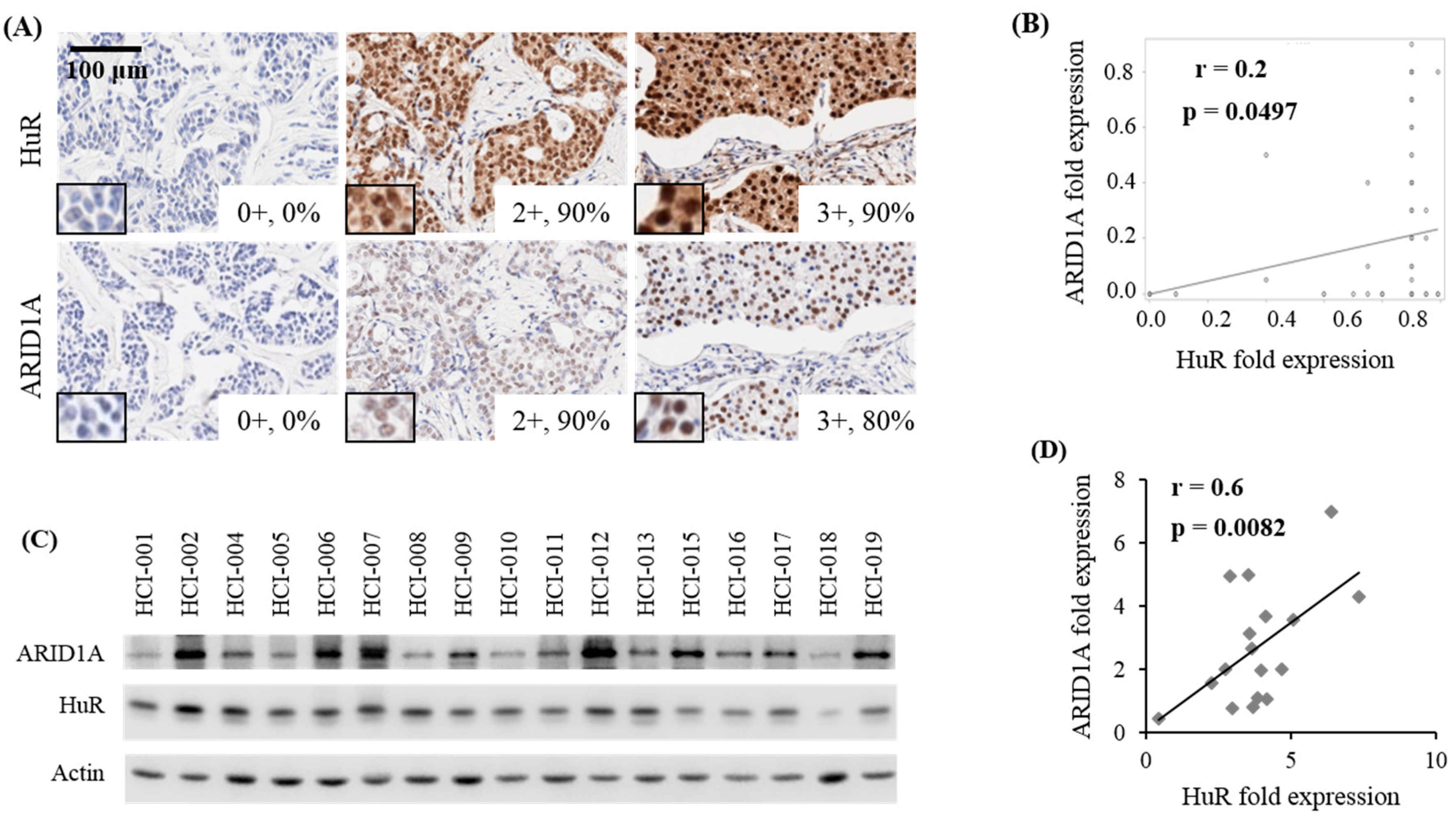 Cancers 11 02014 g004