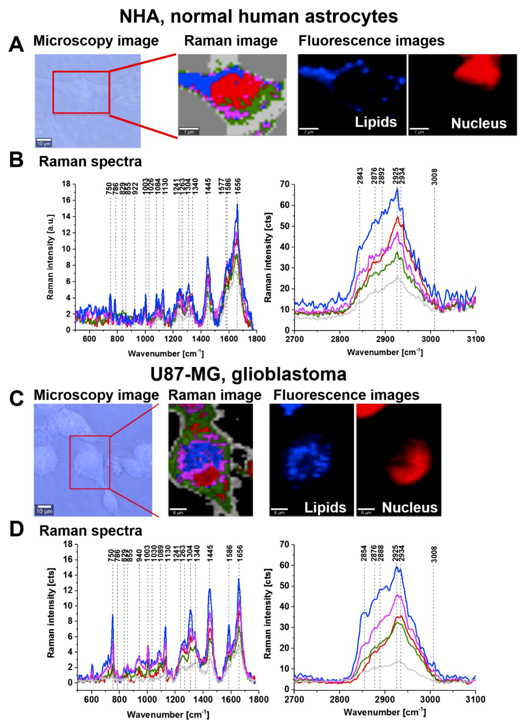 Cancers 11 02017 g009