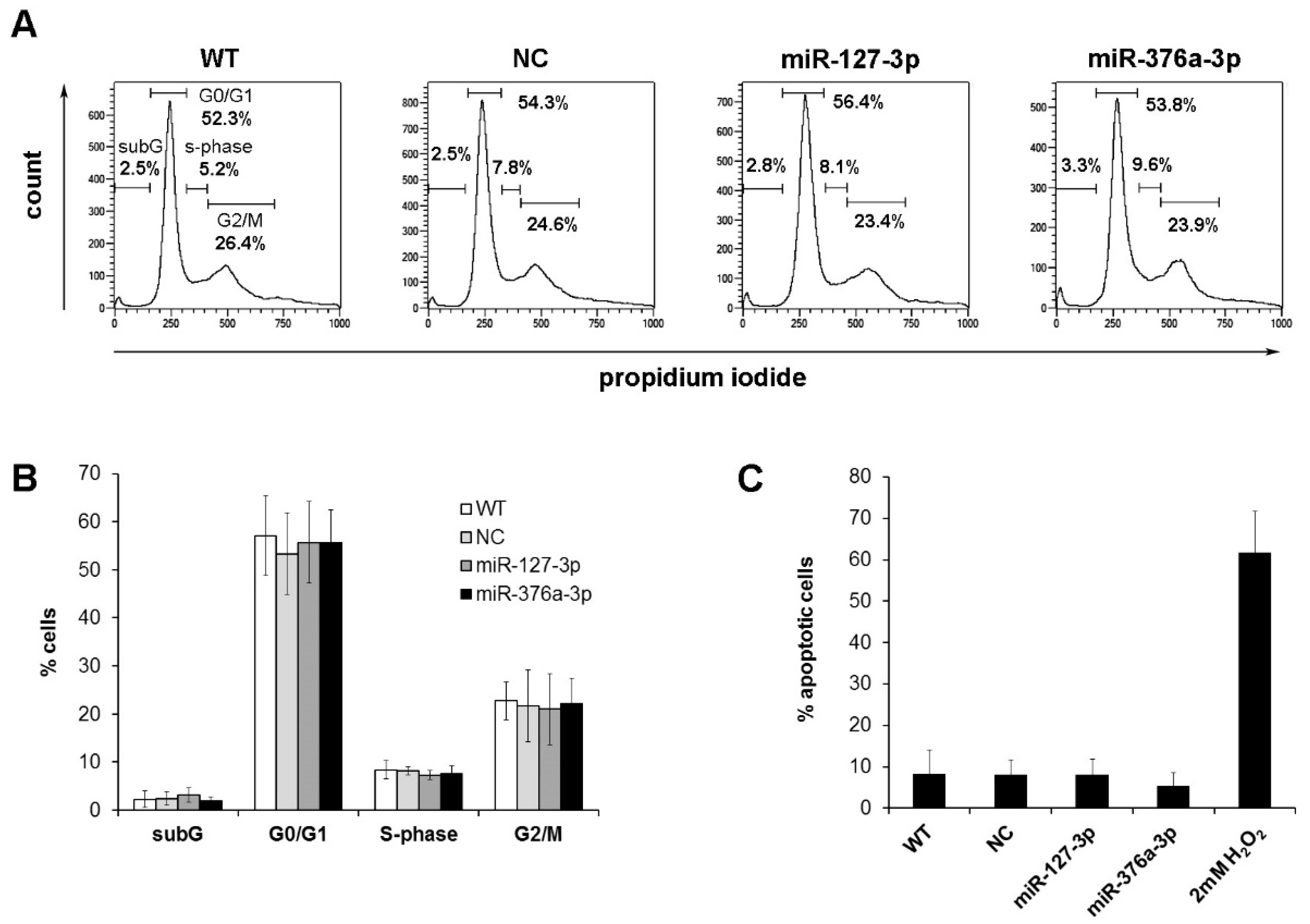 Cancers 11 02019 g004 Cancers 11 02019 g004