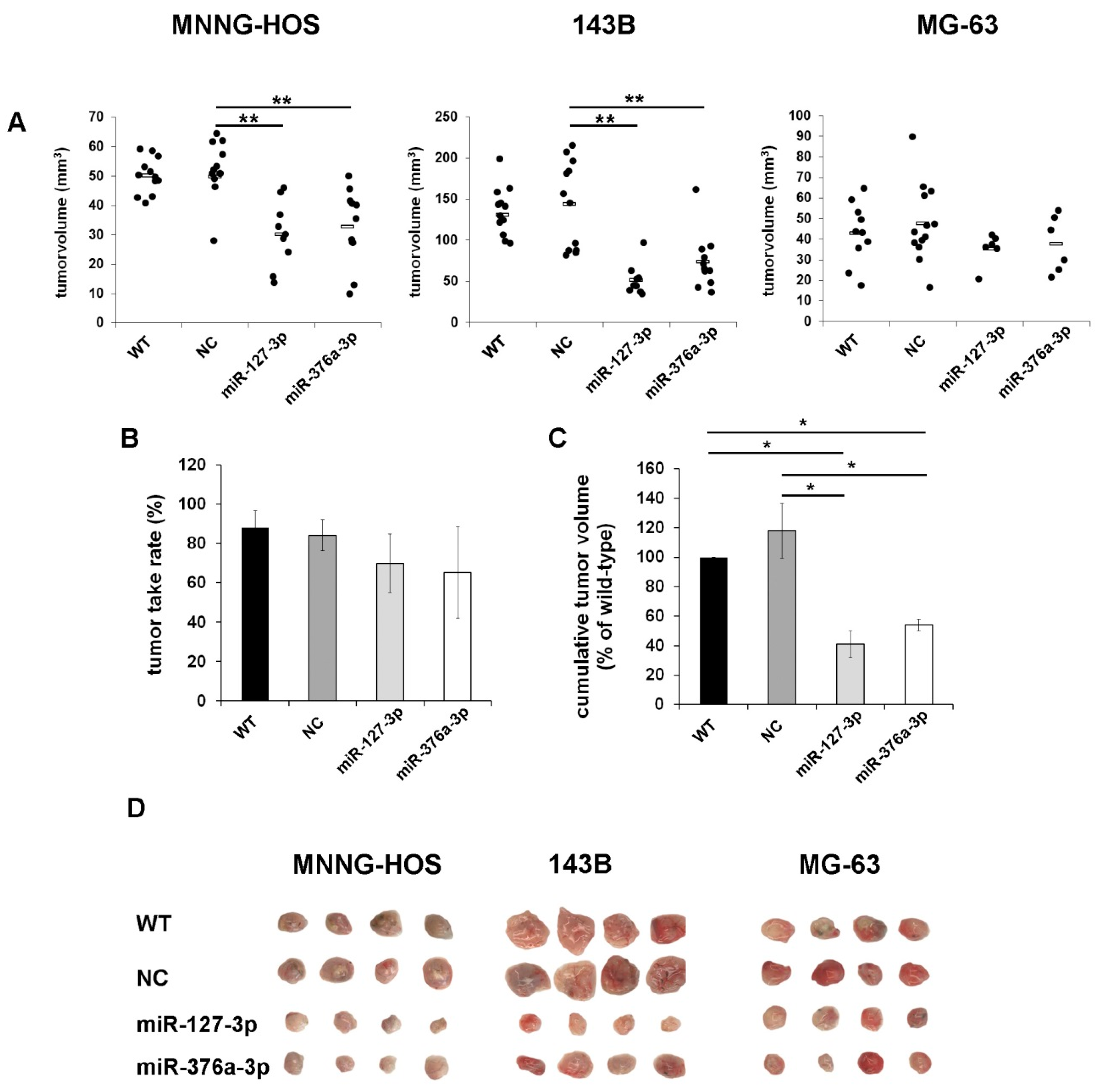 Cancers 11 02019 g005 Cancers 11 02019 g005