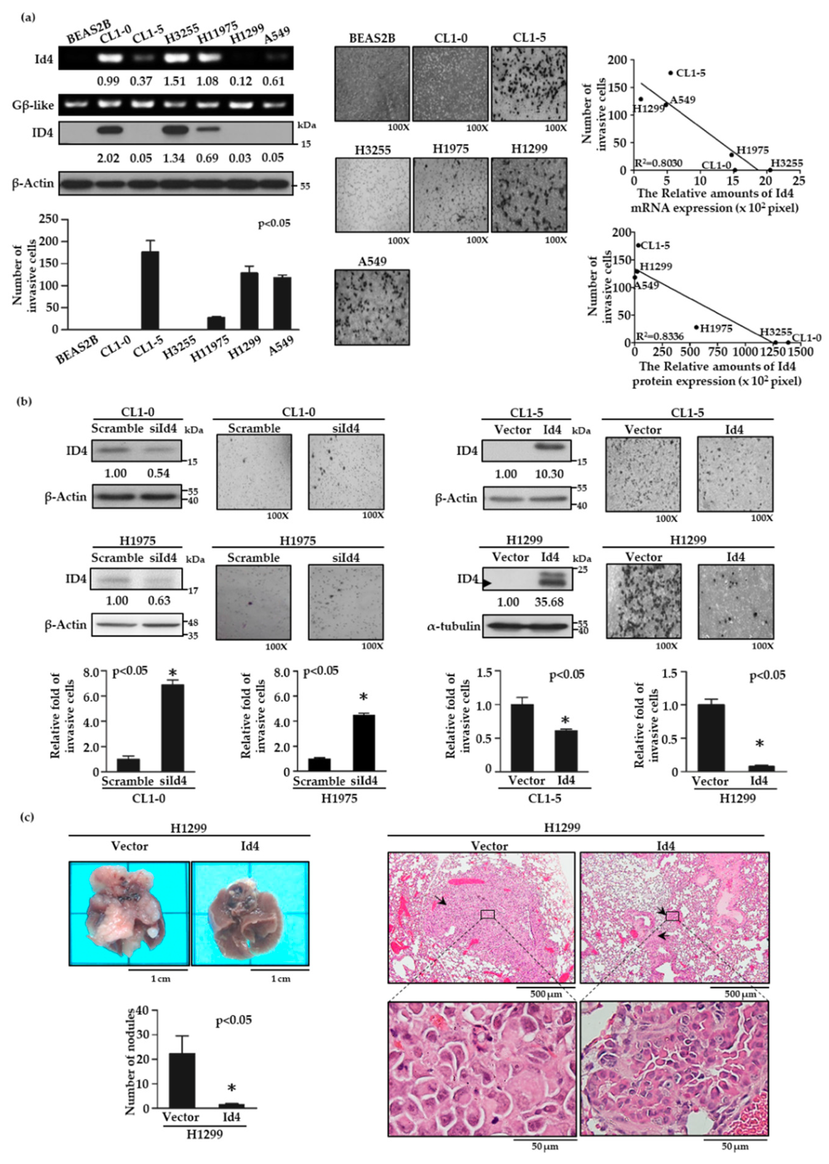Cancers 11 02021 g001 Cancers 11 02021 g001