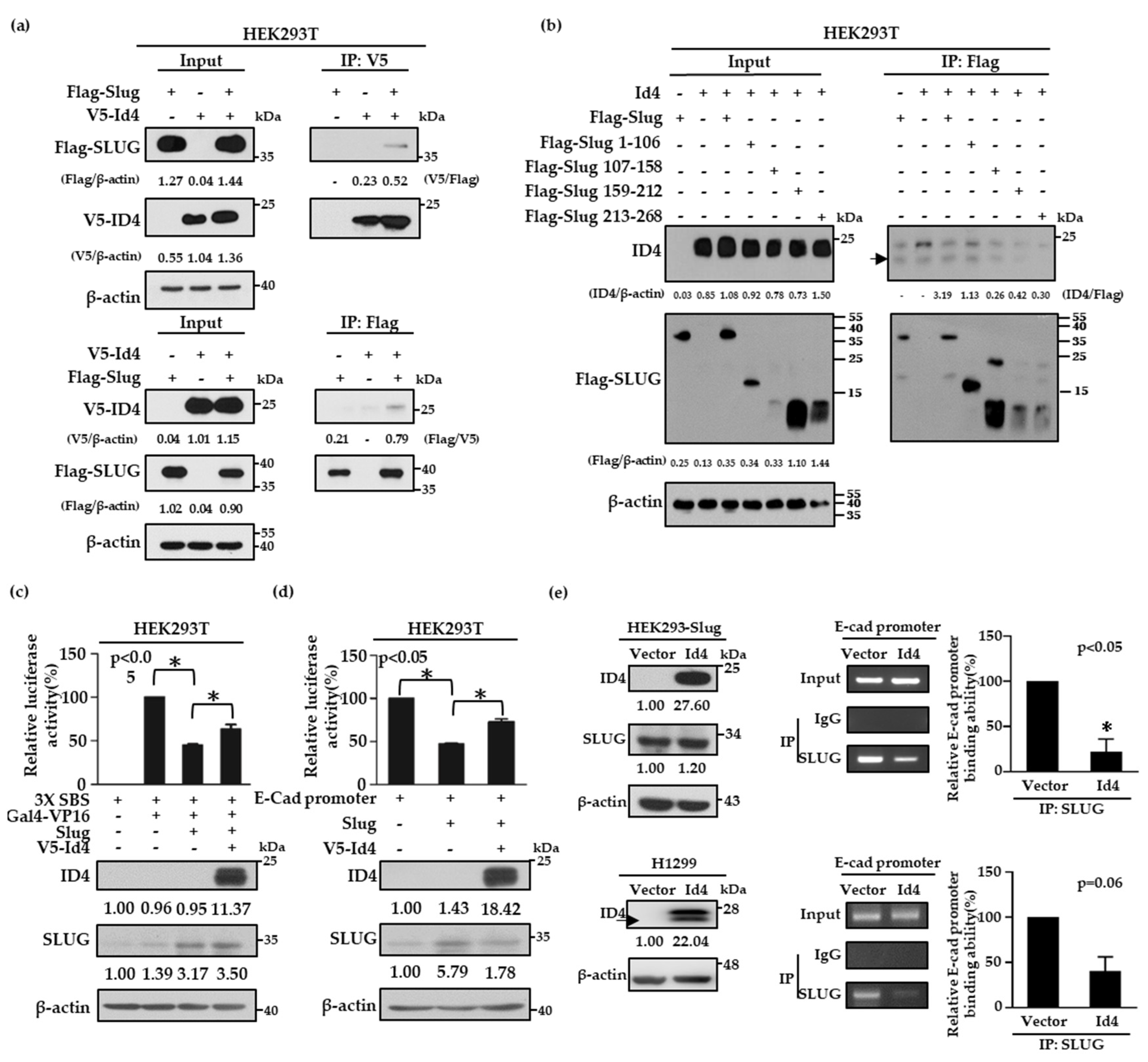 Cancers 11 02021 g003 Cancers 11 02021 g003
