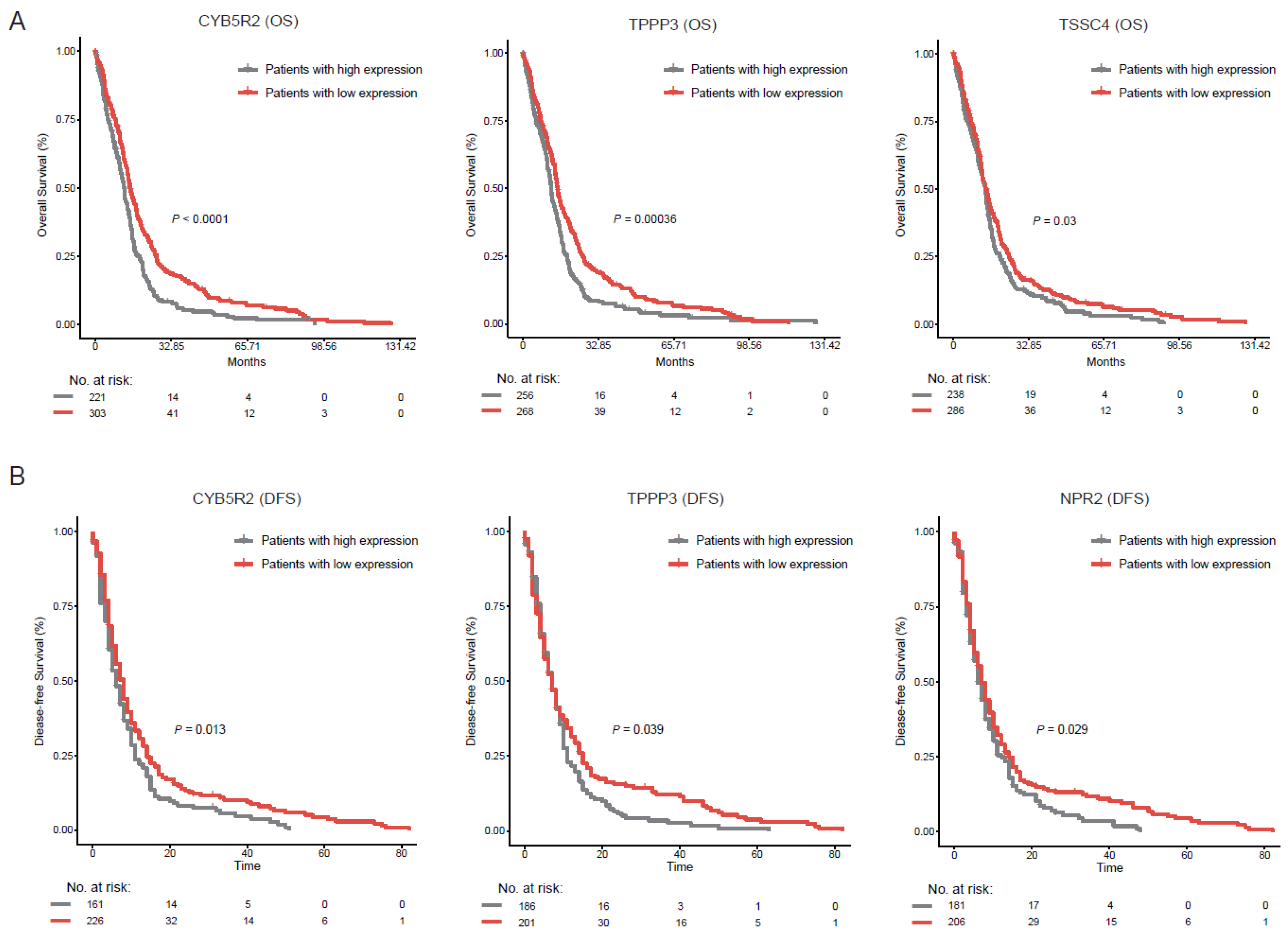 Cancers 11 02025 g004 Cancers 11 02025 g004