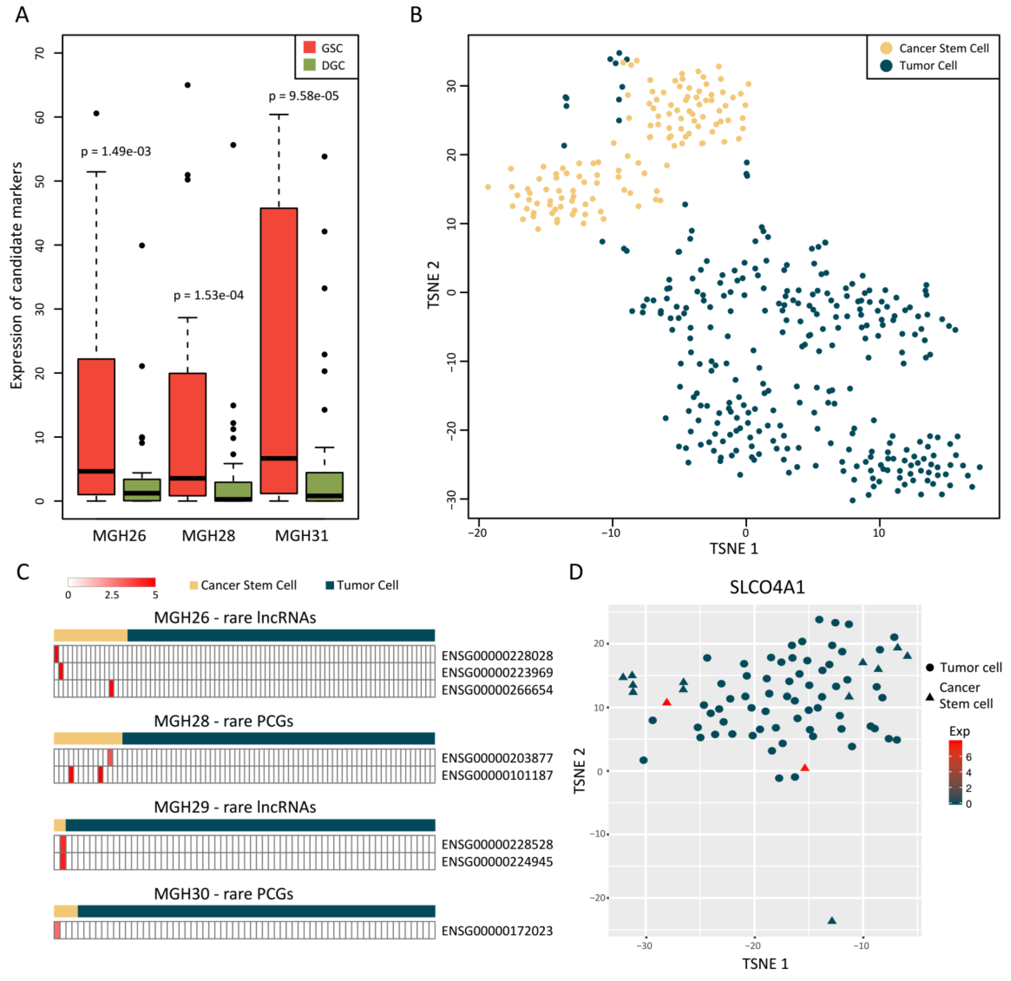 Cancers 11 02025 g005 Cancers 11 02025 g005