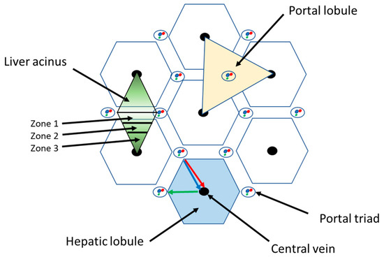 Ｔｈｅ　ＬＩＶＥＲ　ＣＡＮＣＥＲ　ＪＯＵＲＮＡＬ Ｖｏｌ．１０　Ｎｏ．２（２０１/メディカルレビュ-社/「Ｔｈｅ　ＬＩＶＥＲ　ＣＡＮＣＥＲ　ＪＯ（大型本） Hepatocellular carcinoma | Nature Reviews Disease Primers