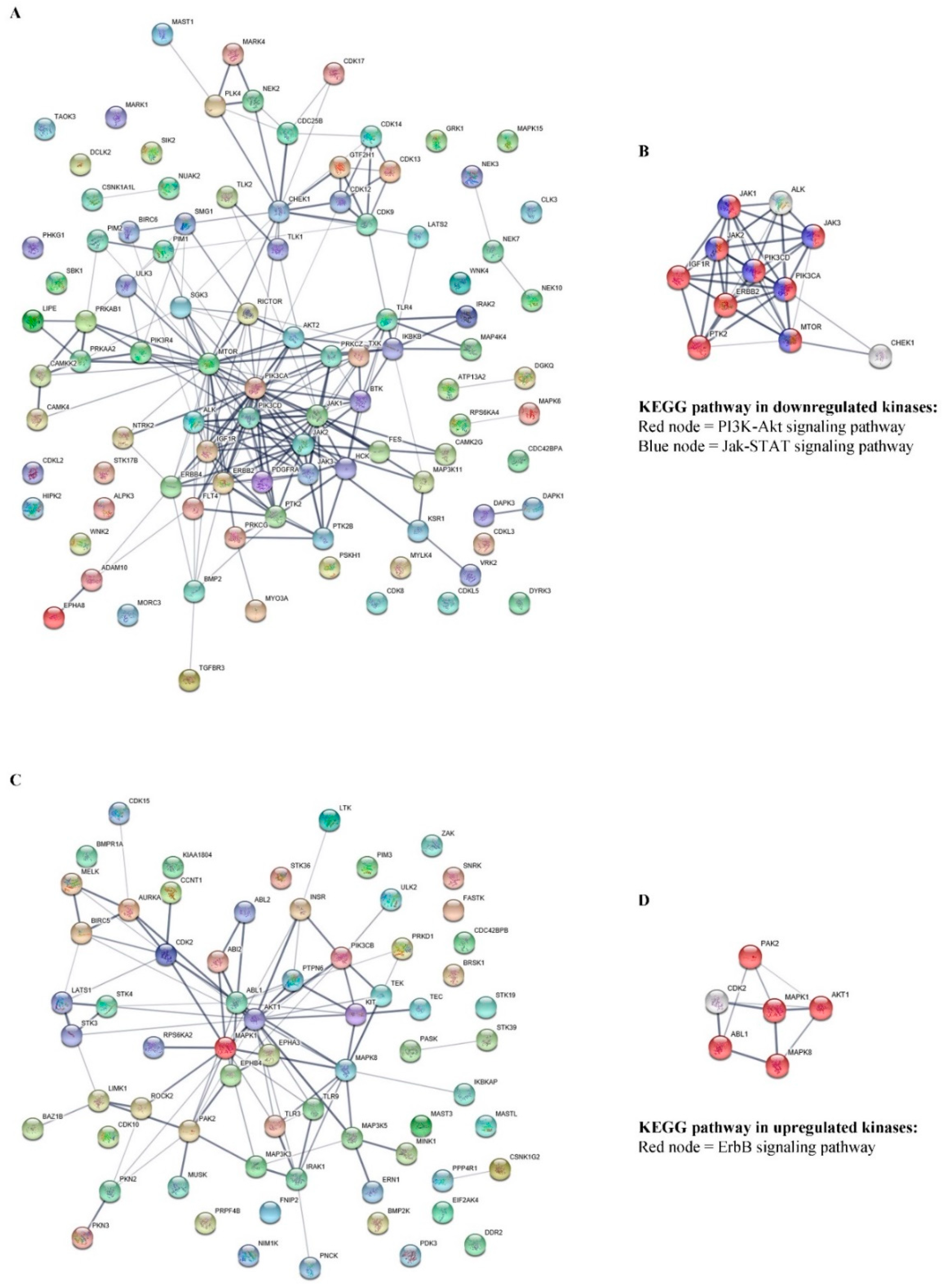 Cancers 11 02032 g003 Cancers 11 02032 g003