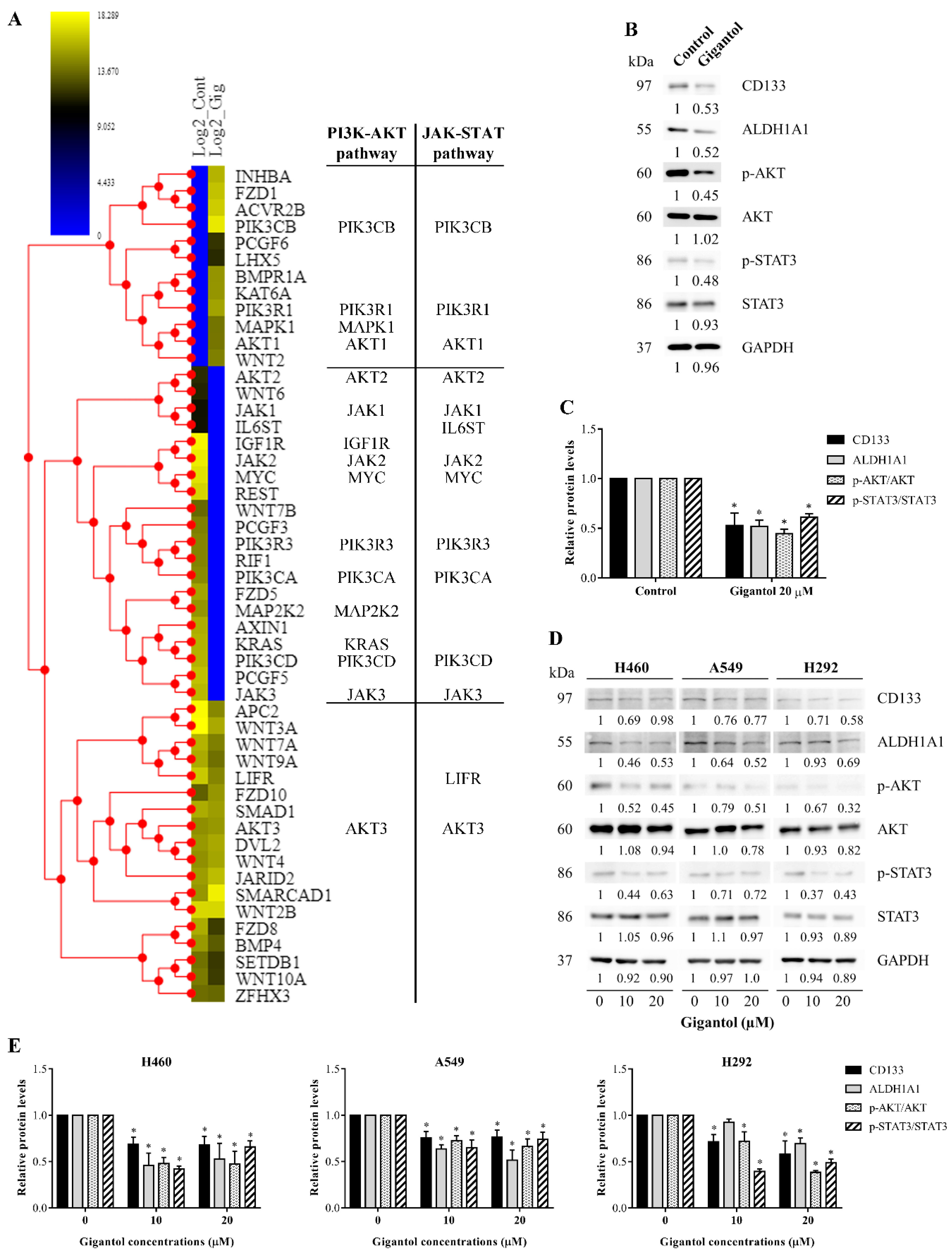 Cancers 11 02032 g004 Cancers 11 02032 g004