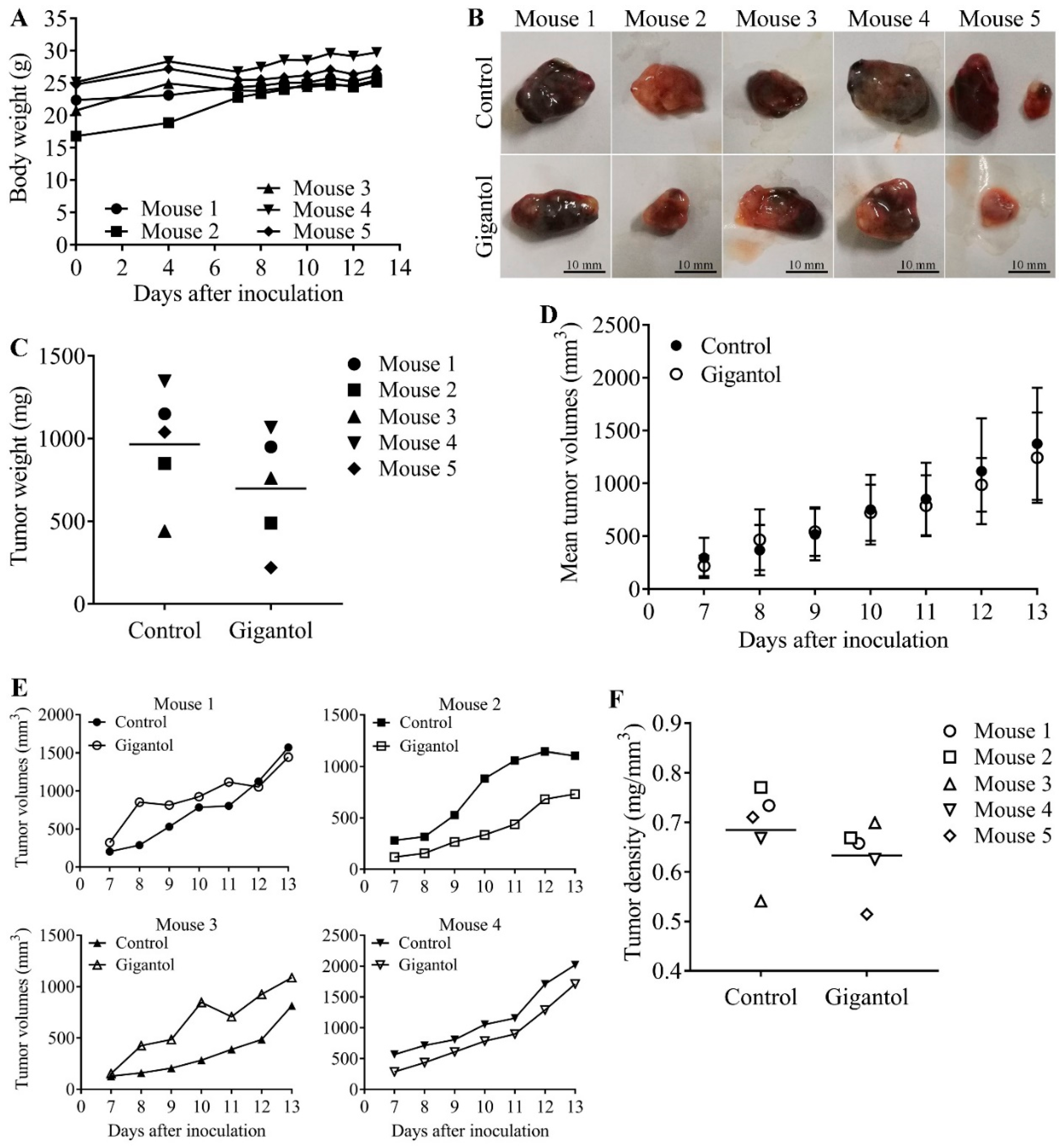 Cancers 11 02032 g005 Cancers 11 02032 g005