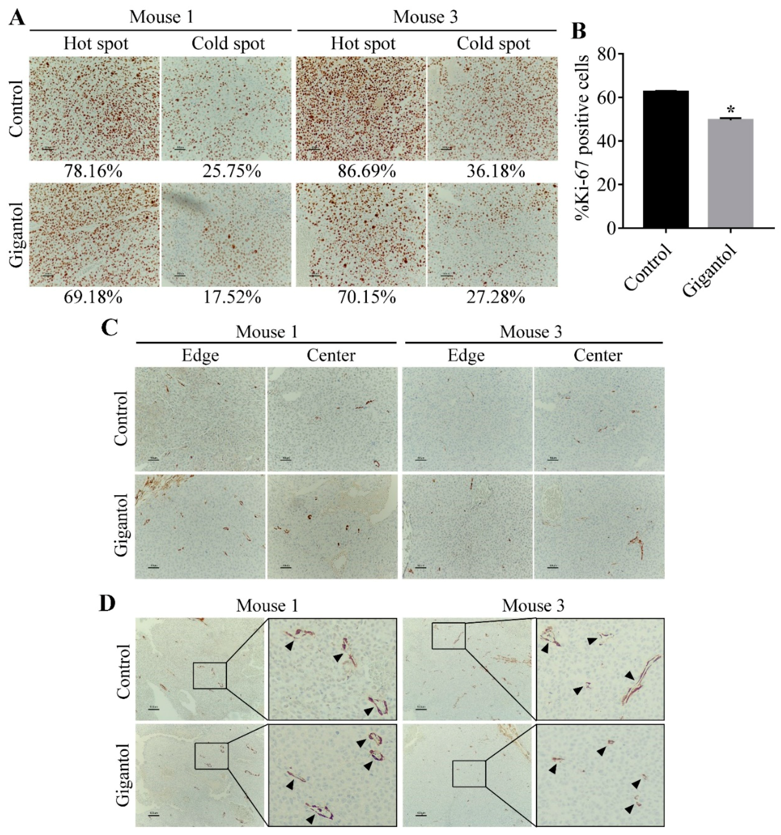 Cancers 11 02032 g007 Cancers 11 02032 g007