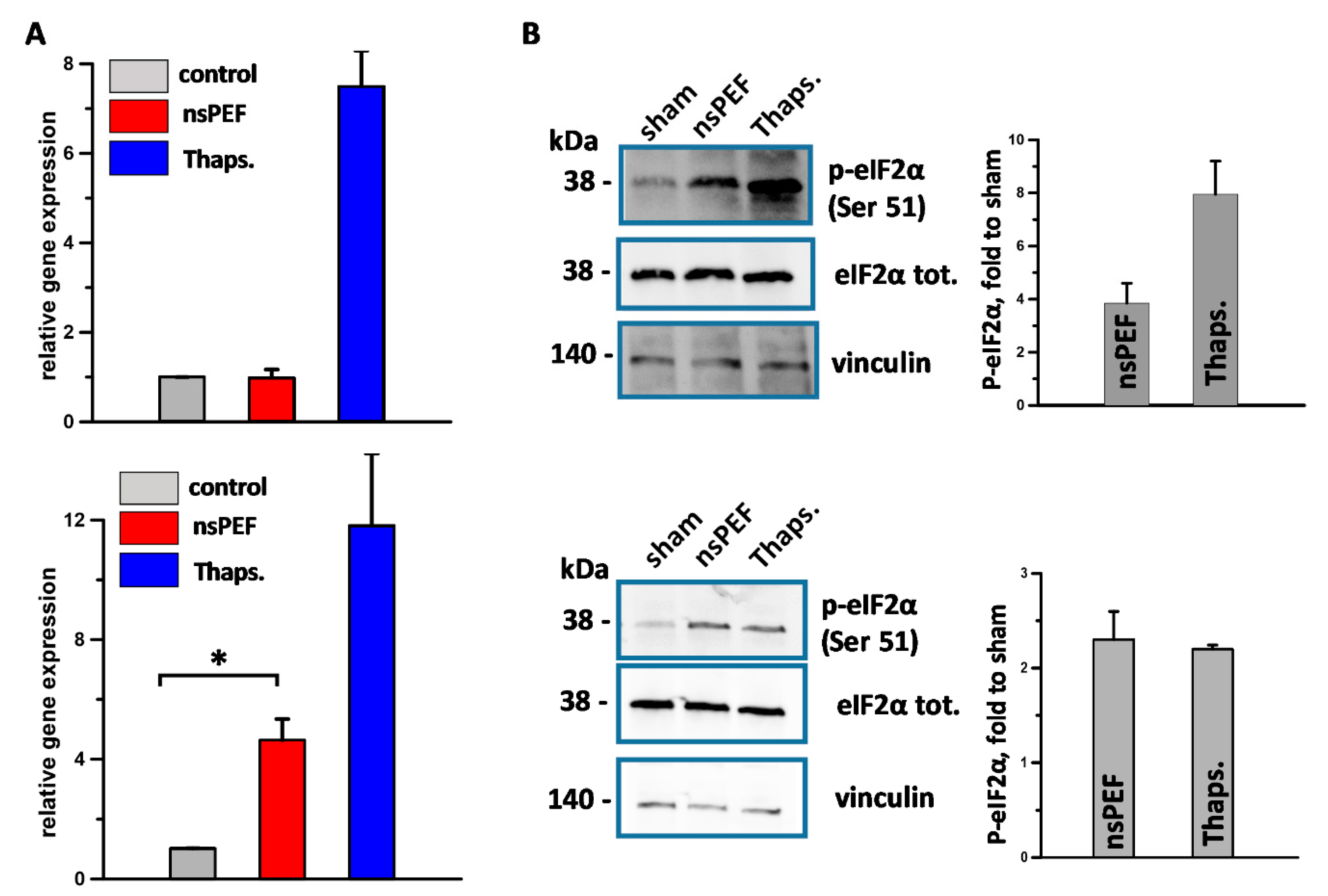 Cancers 11 02034 g001