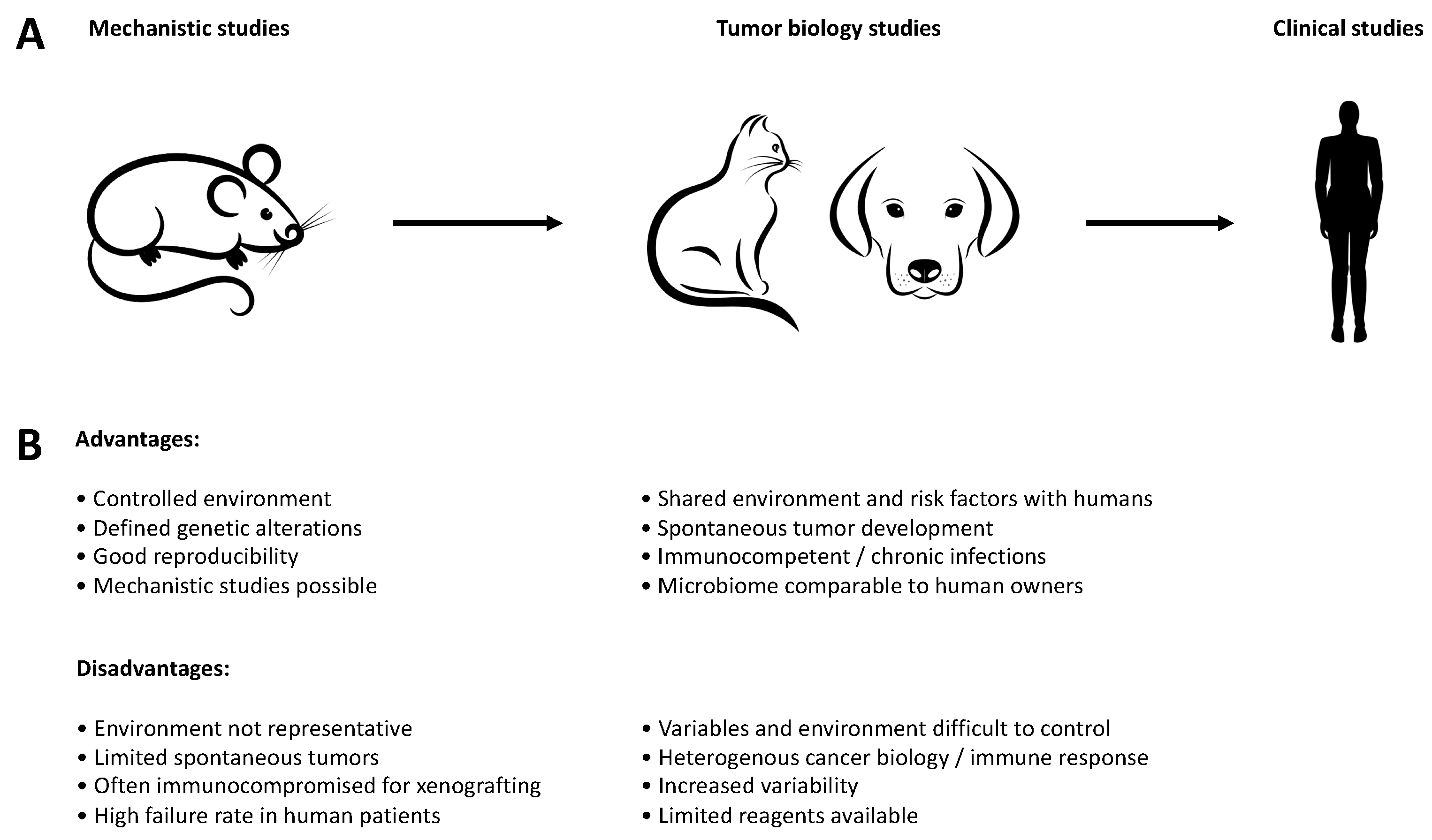 apoquel and canine cancer