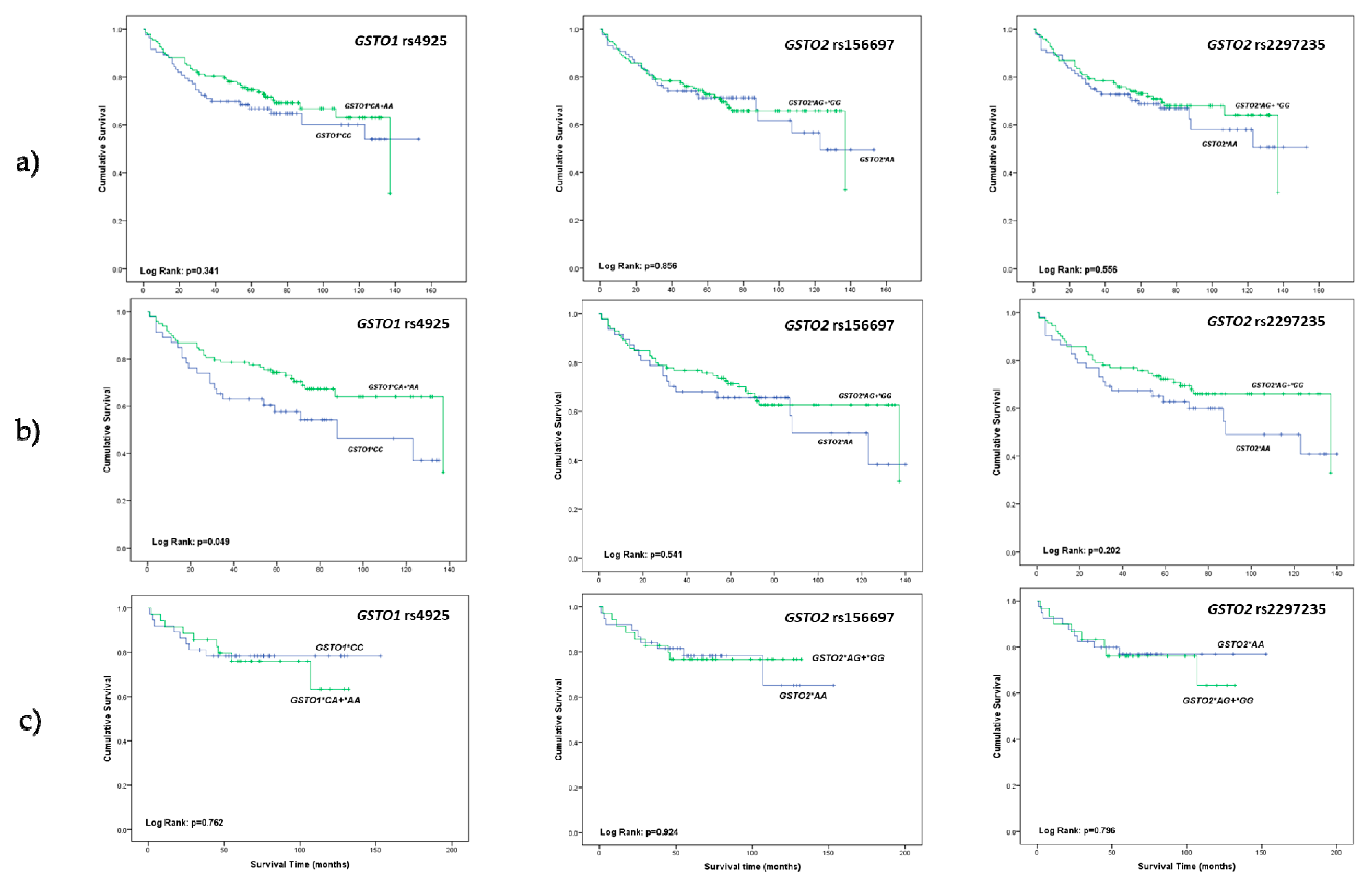 Cancers 11 02038 g001 Cancers 11 02038 g001