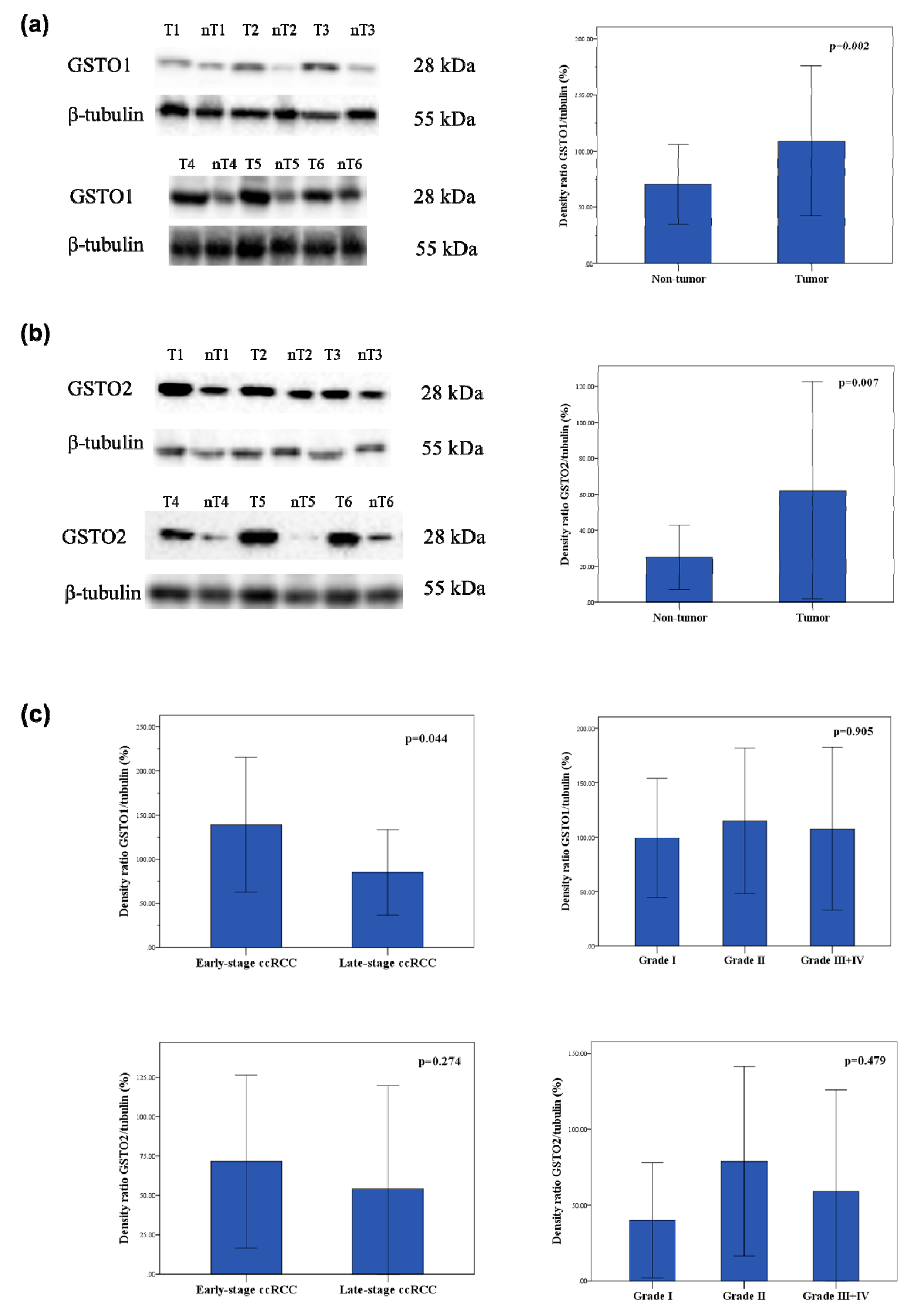 Cancers 11 02038 g002a Cancers 11 02038 g002a