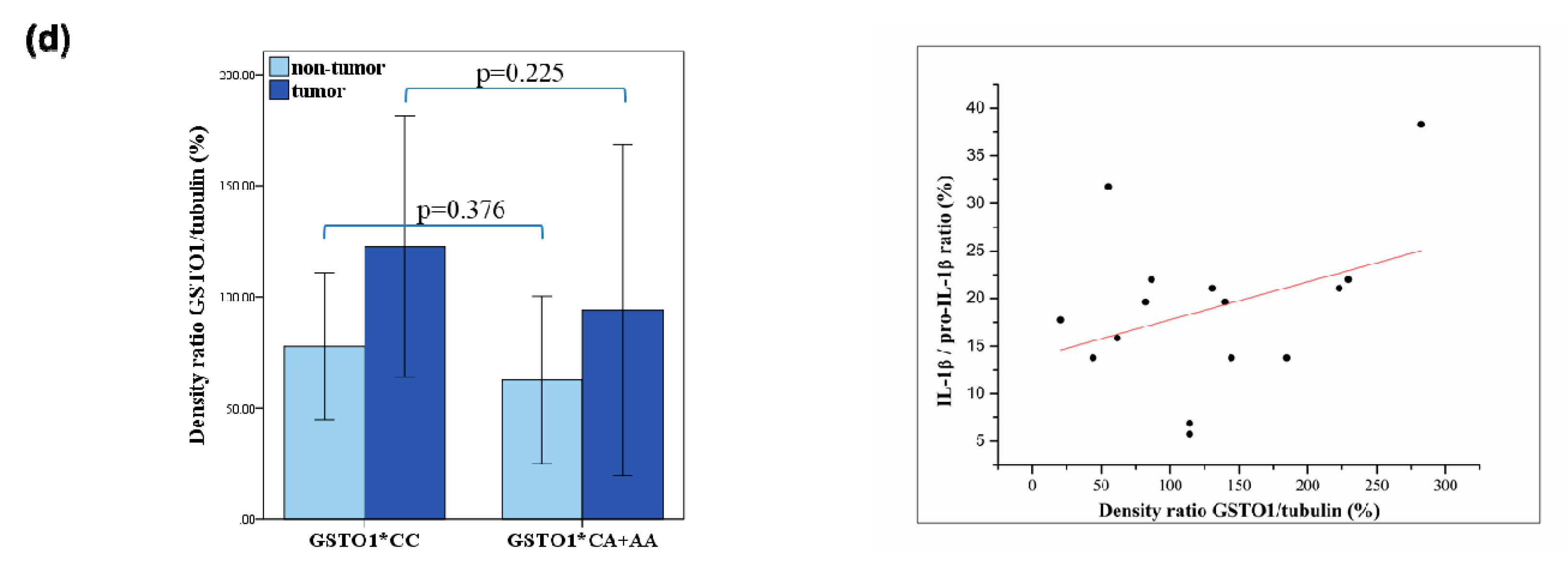Cancers 11 02038 g002b Cancers 11 02038 g002b