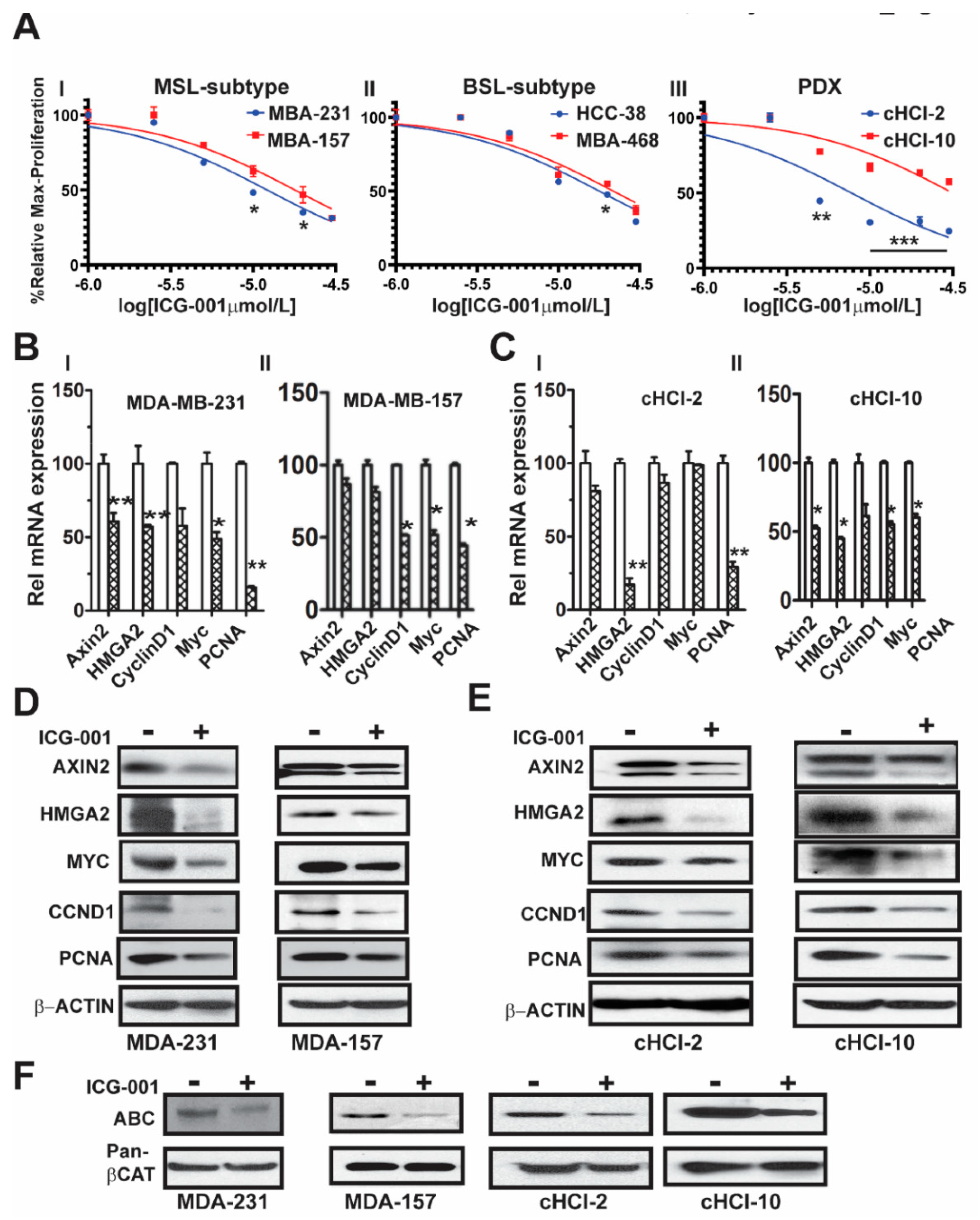 Cancers 11 02039 g001