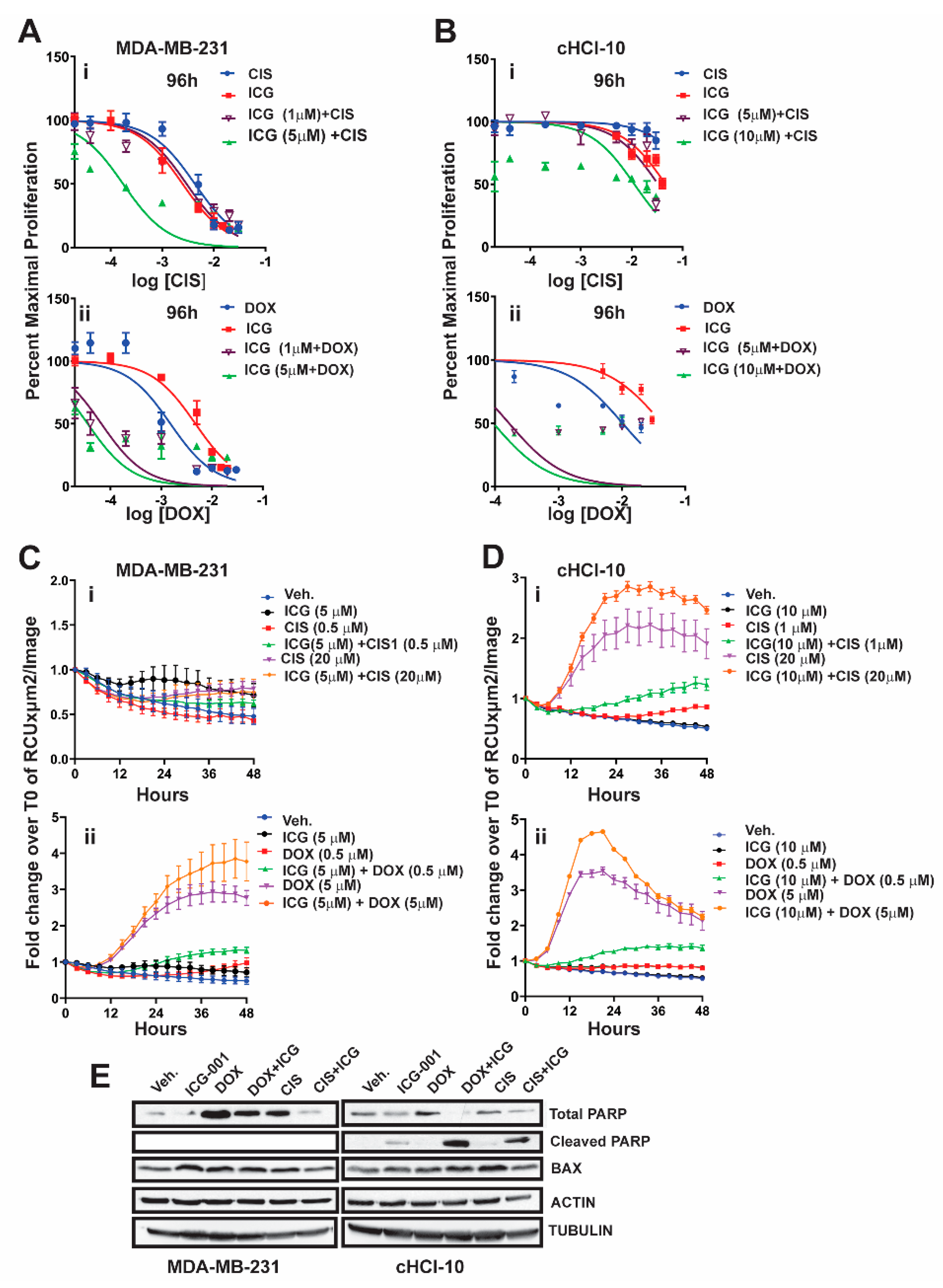 Cancers 11 02039 g002