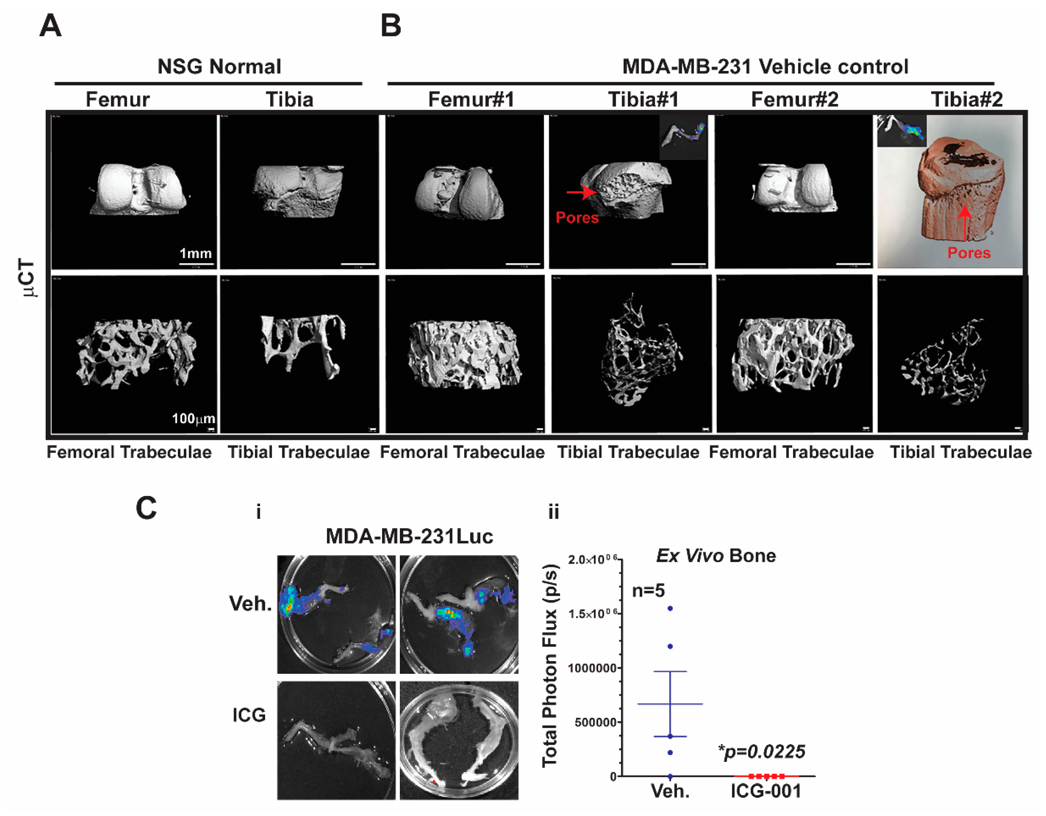 Cancers 11 02039 g005