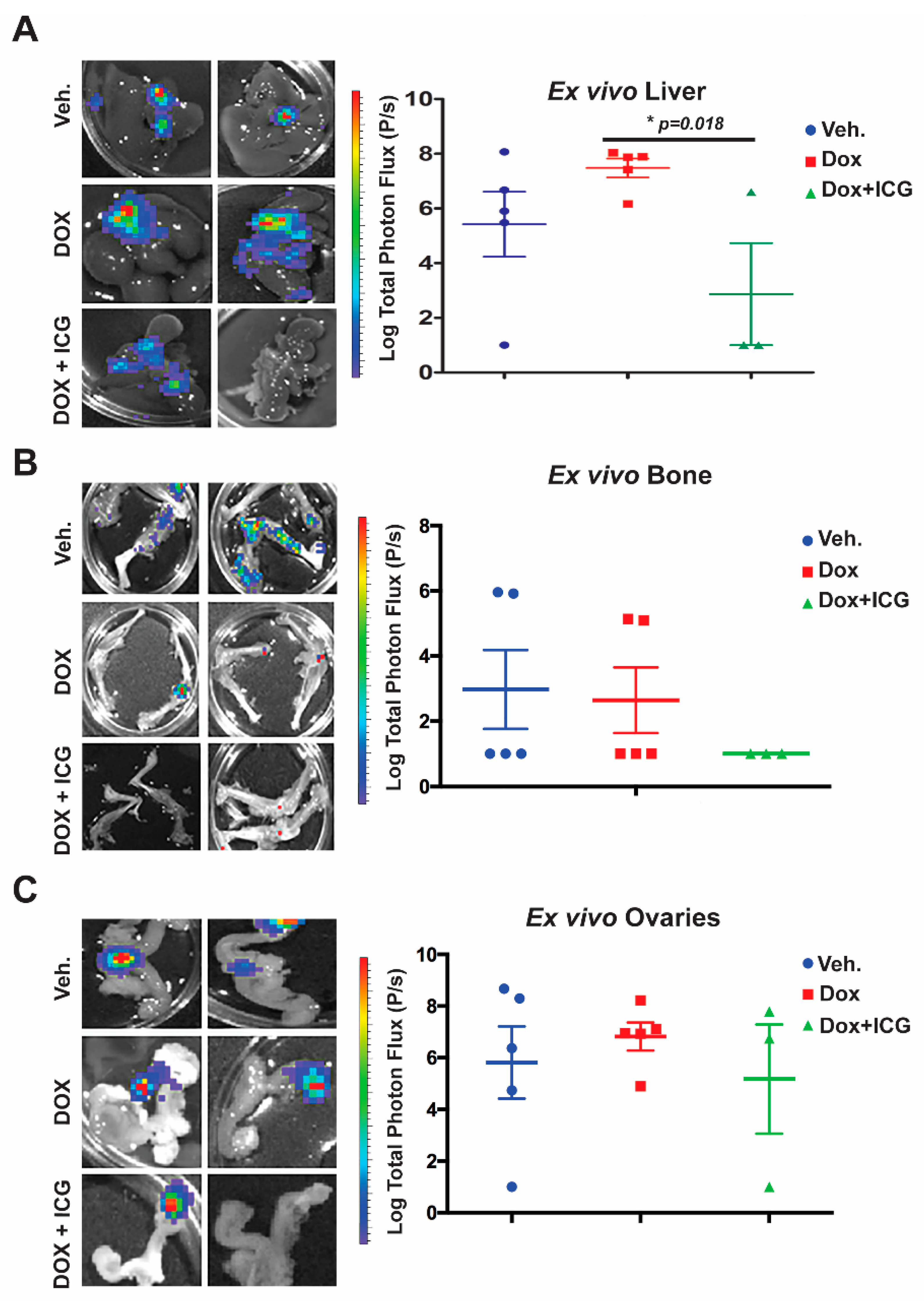 Cancers 11 02039 g006