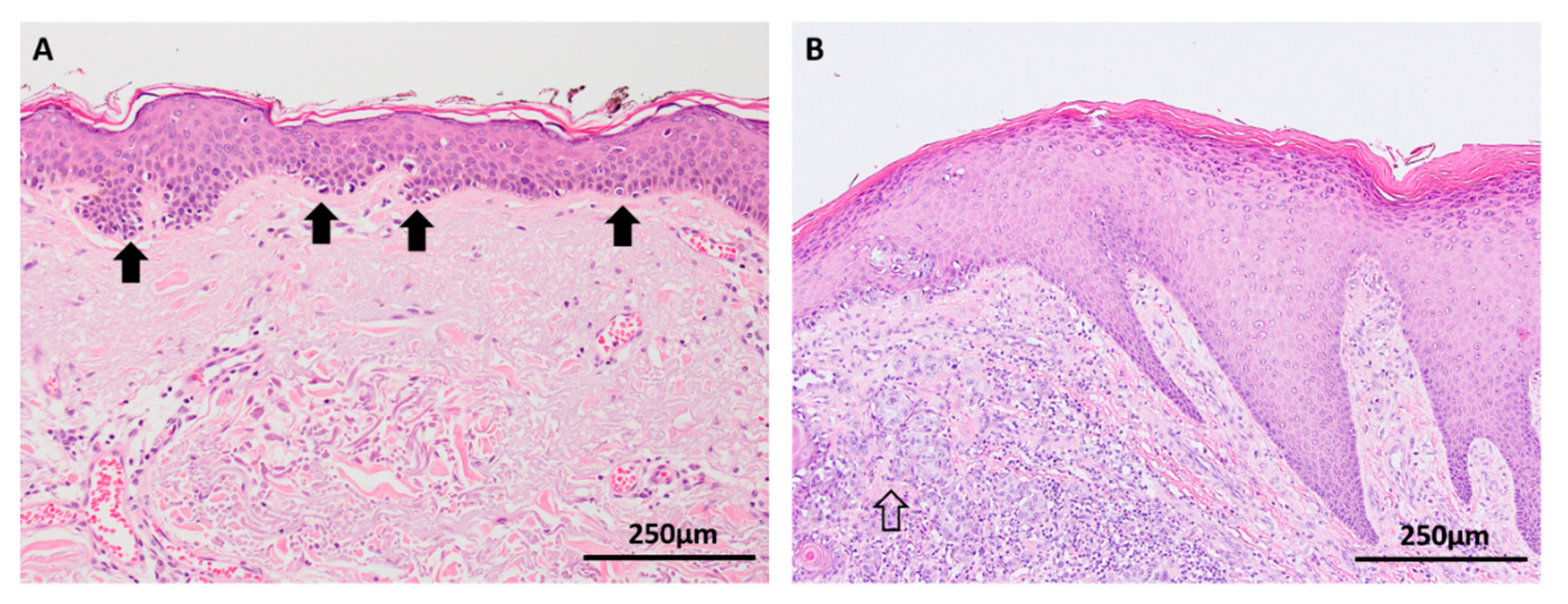 Cancers 11 02041 g002