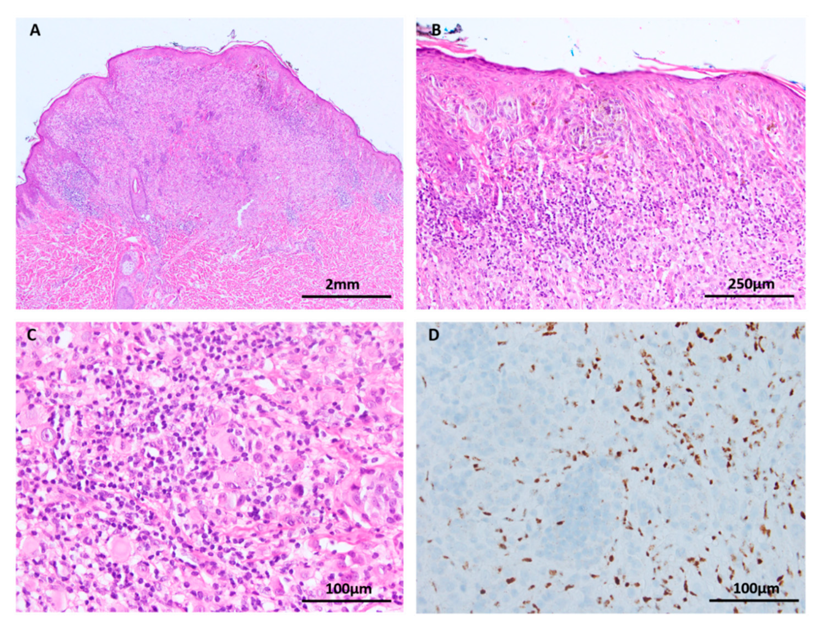 Cancers 11 02041 g006