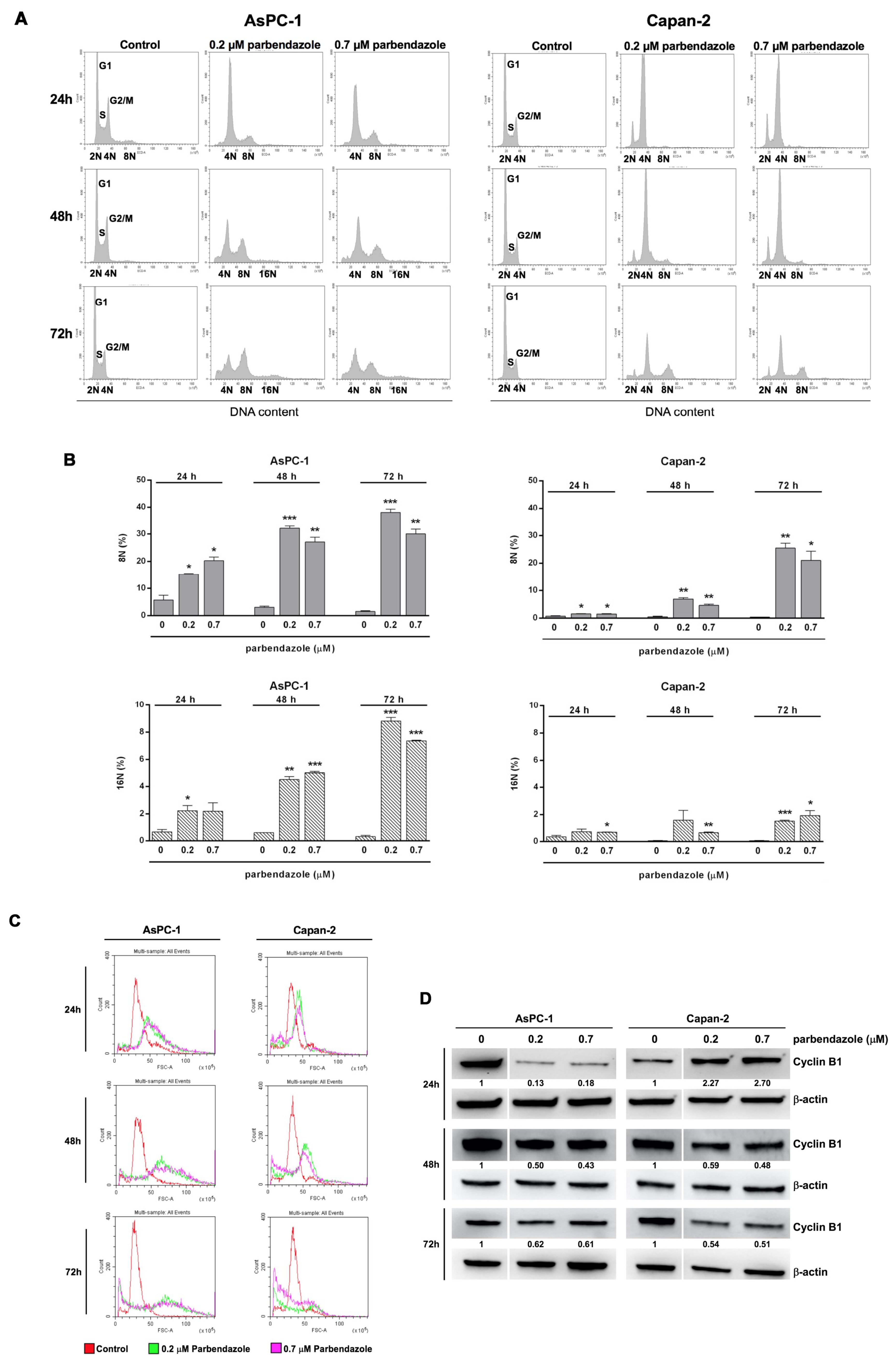 buy chloroquine boots