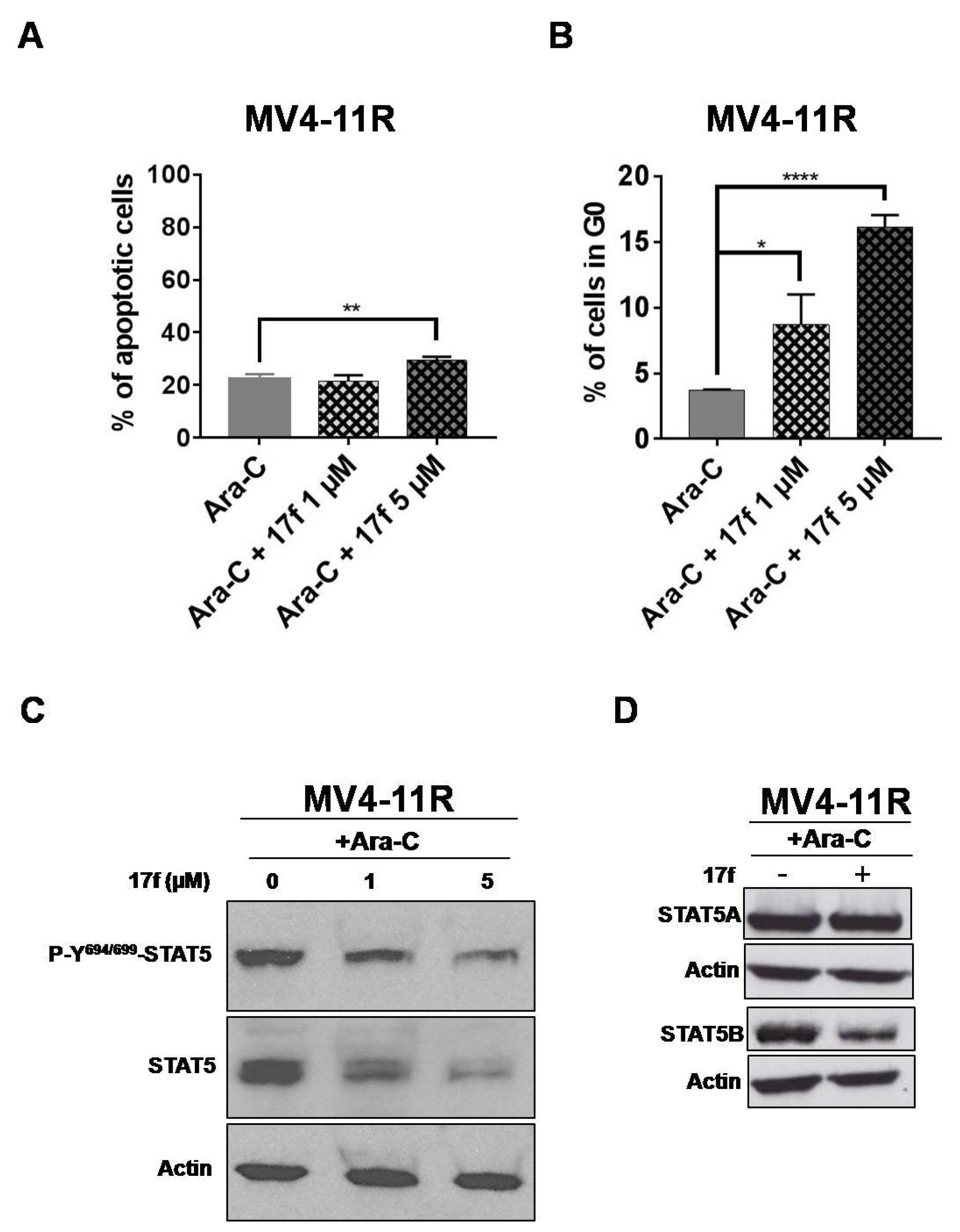 Cancers 11 02043 g007