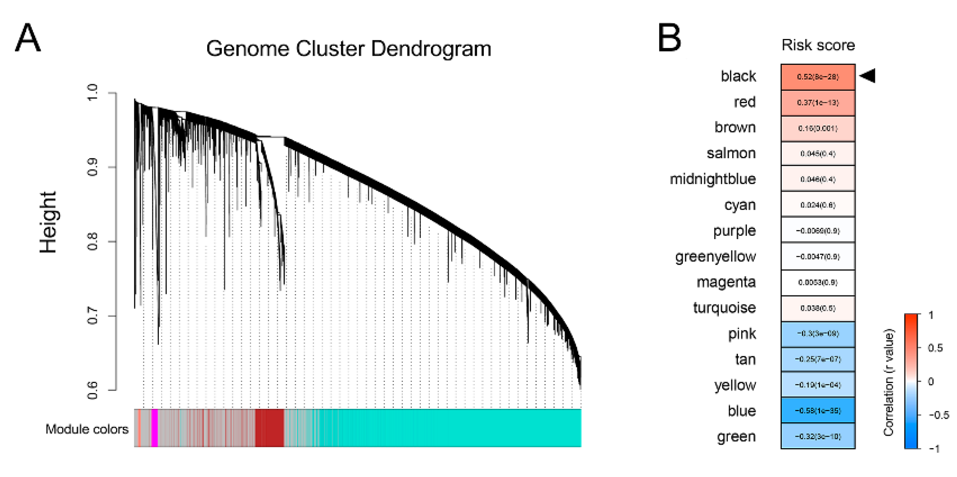 Cancers 12 00001 g005a