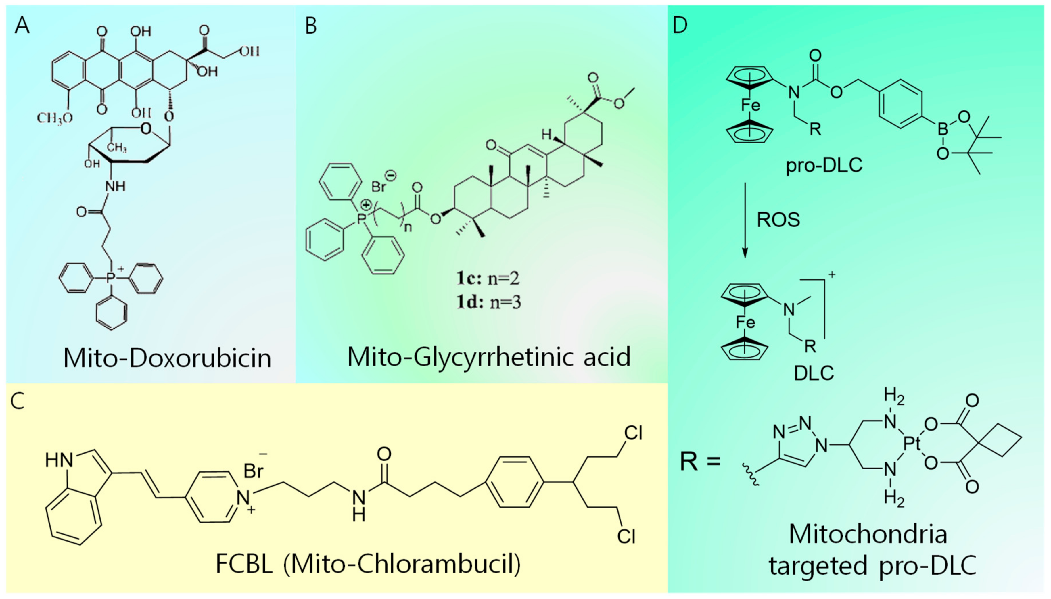 Cancers Free Full Text Recent Progress In Mitochondria Targeted Drug And Drug Free Agents For Cancer Therapy Html
