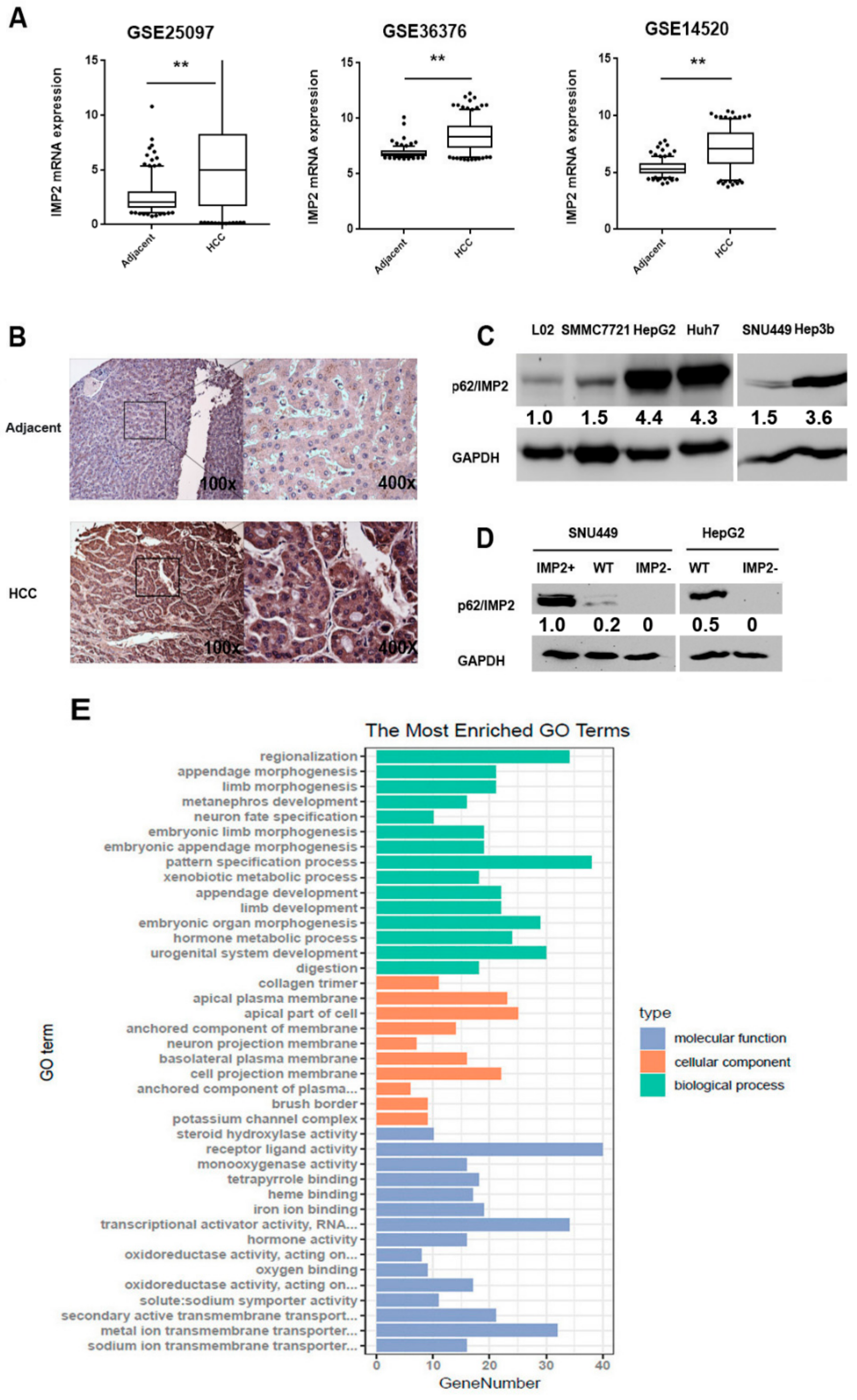 Cancers 12 00007 g001 Cancers 12 00007 g001