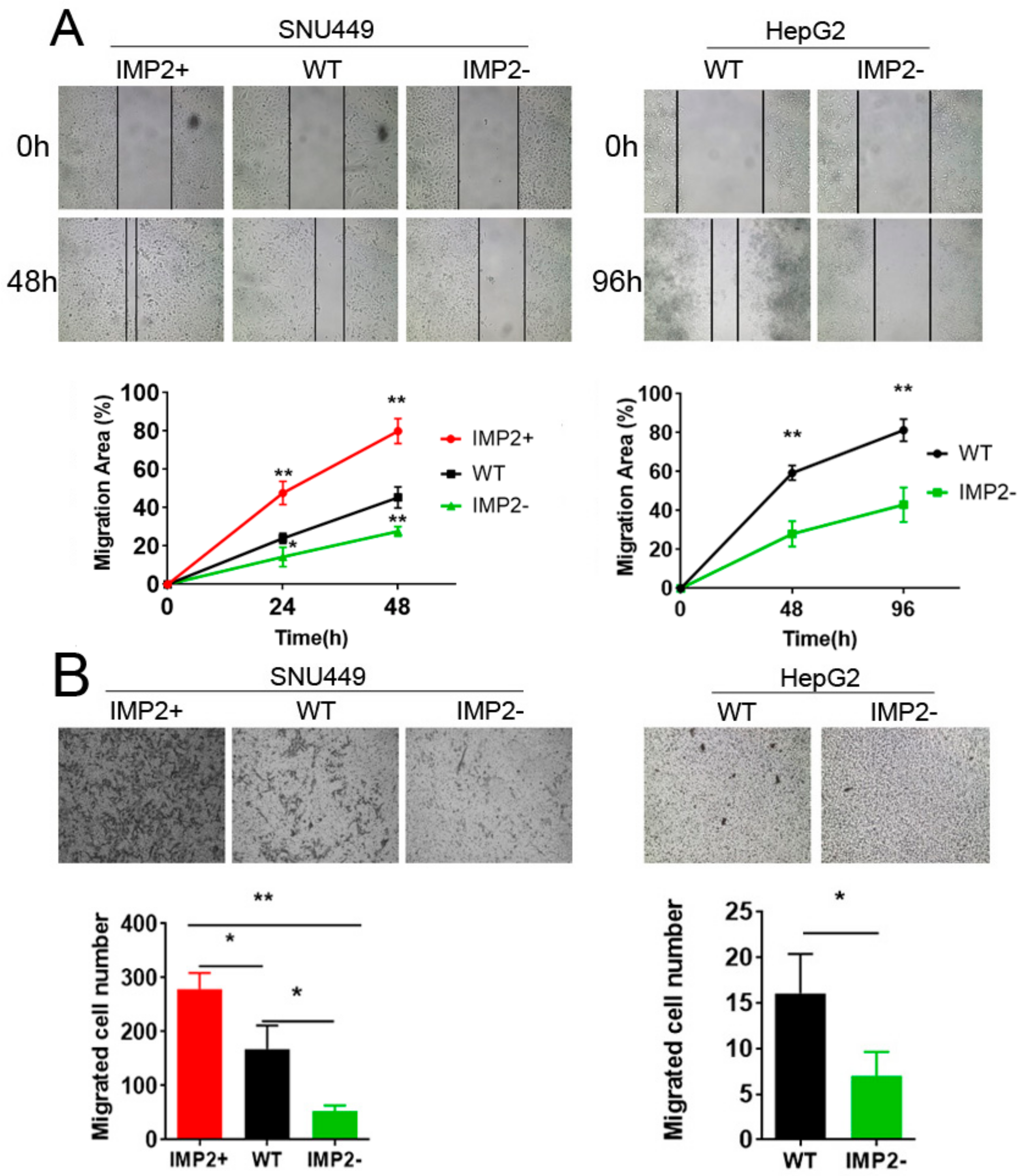 Cancers 12 00007 g003 Cancers 12 00007 g003