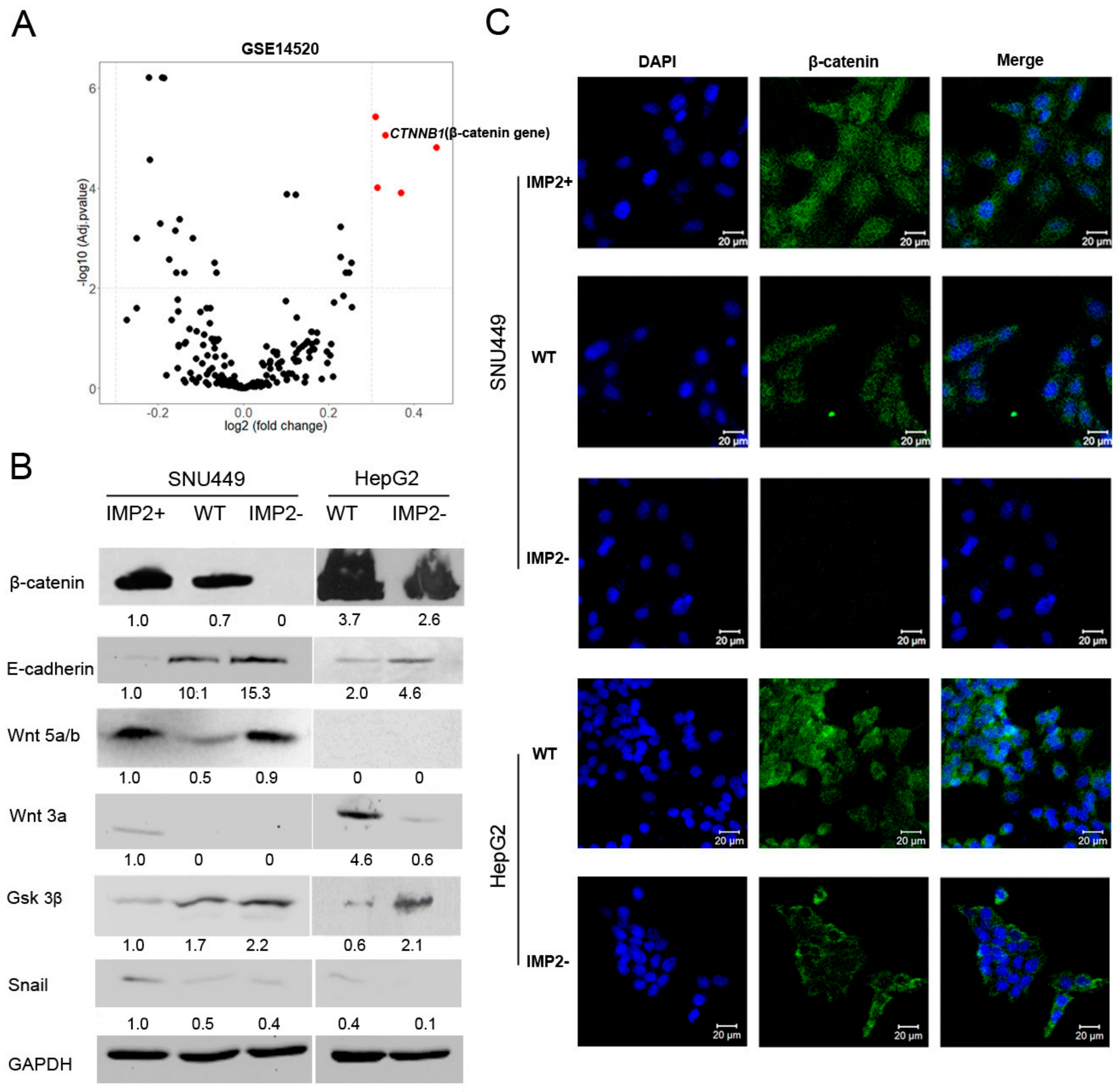 Cancers 12 00007 g004 Cancers 12 00007 g004