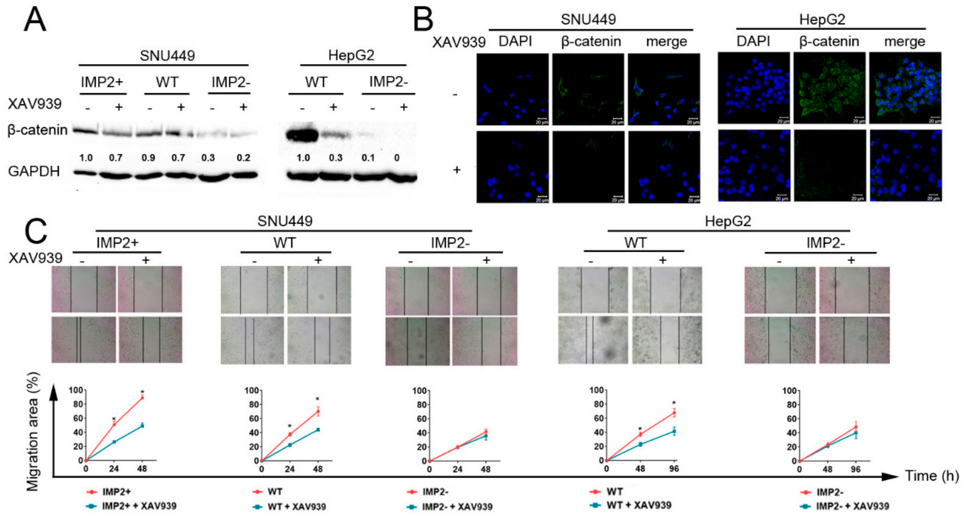 Cancers 12 00007 g005 Cancers 12 00007 g005
