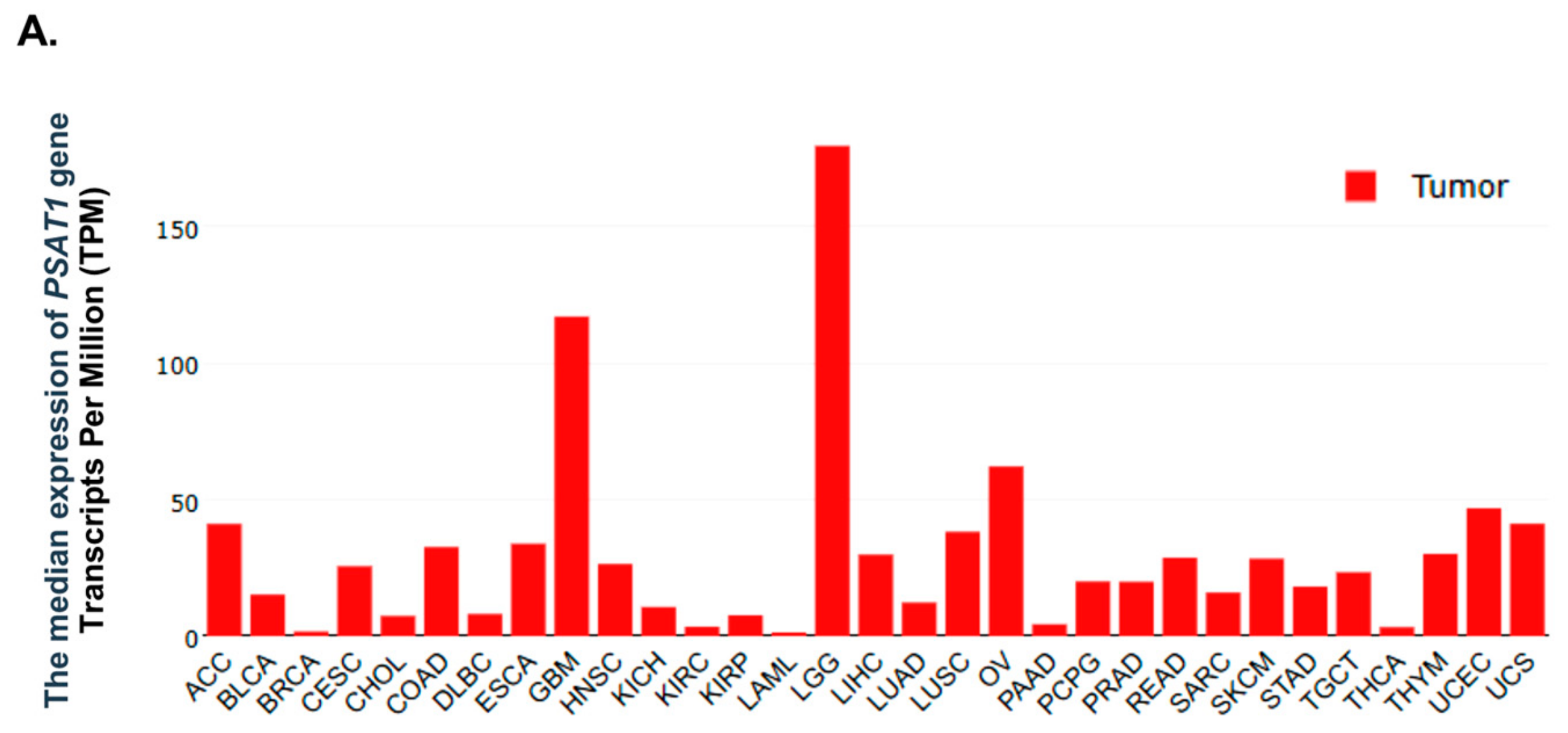 Cancers 12 00013 g001a Cancers 12 00013 g001a