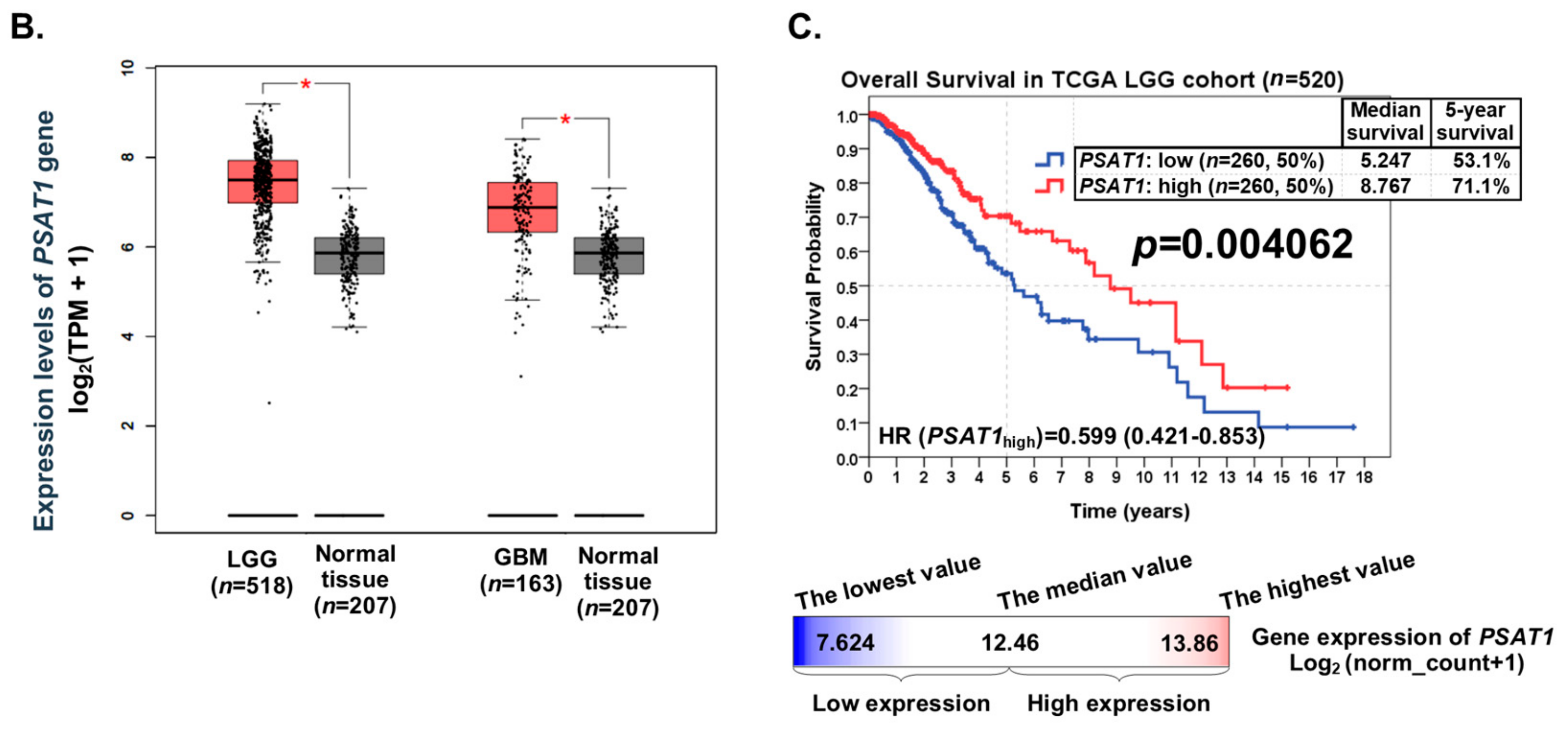 Cancers 12 00013 g001b Cancers 12 00013 g001b