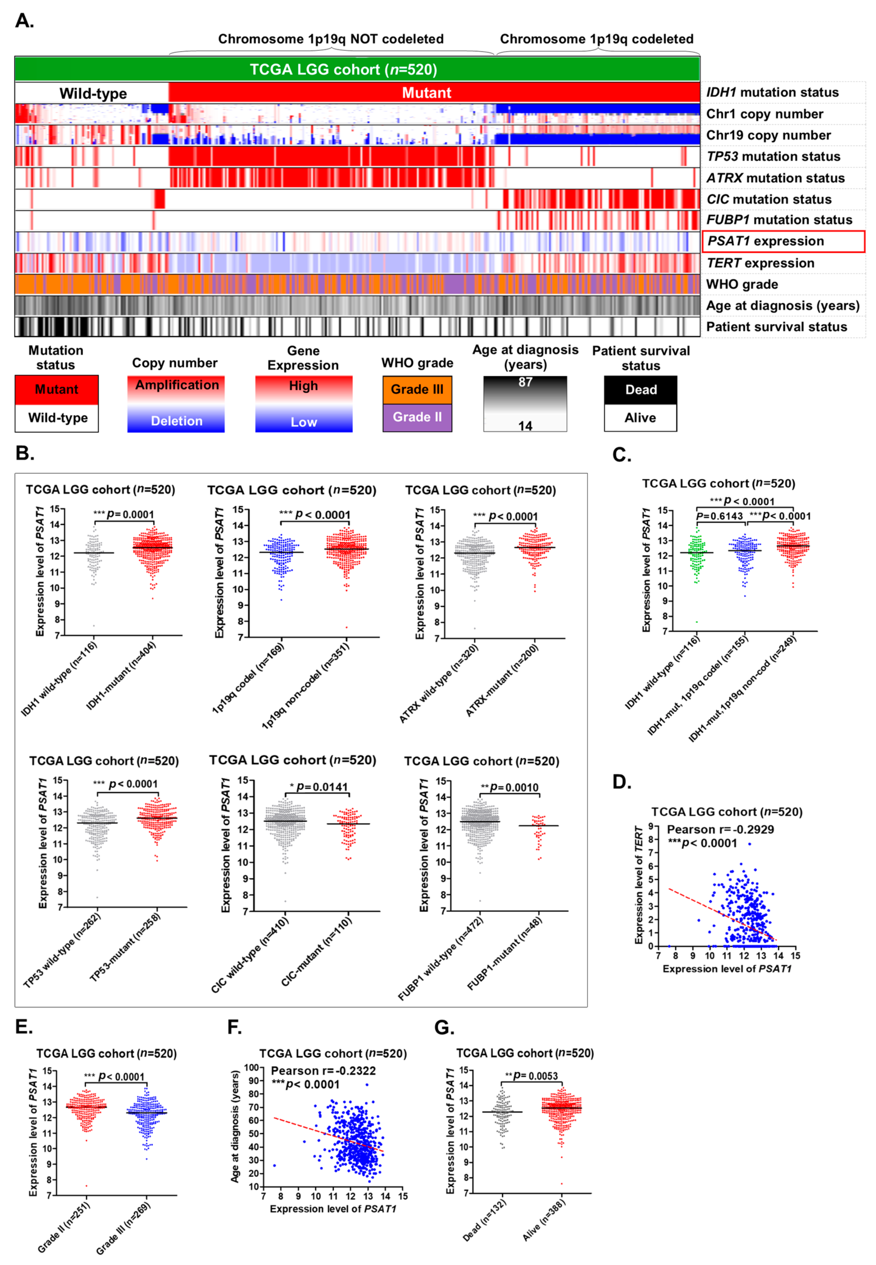 Cancers 12 00013 g002 Cancers 12 00013 g002