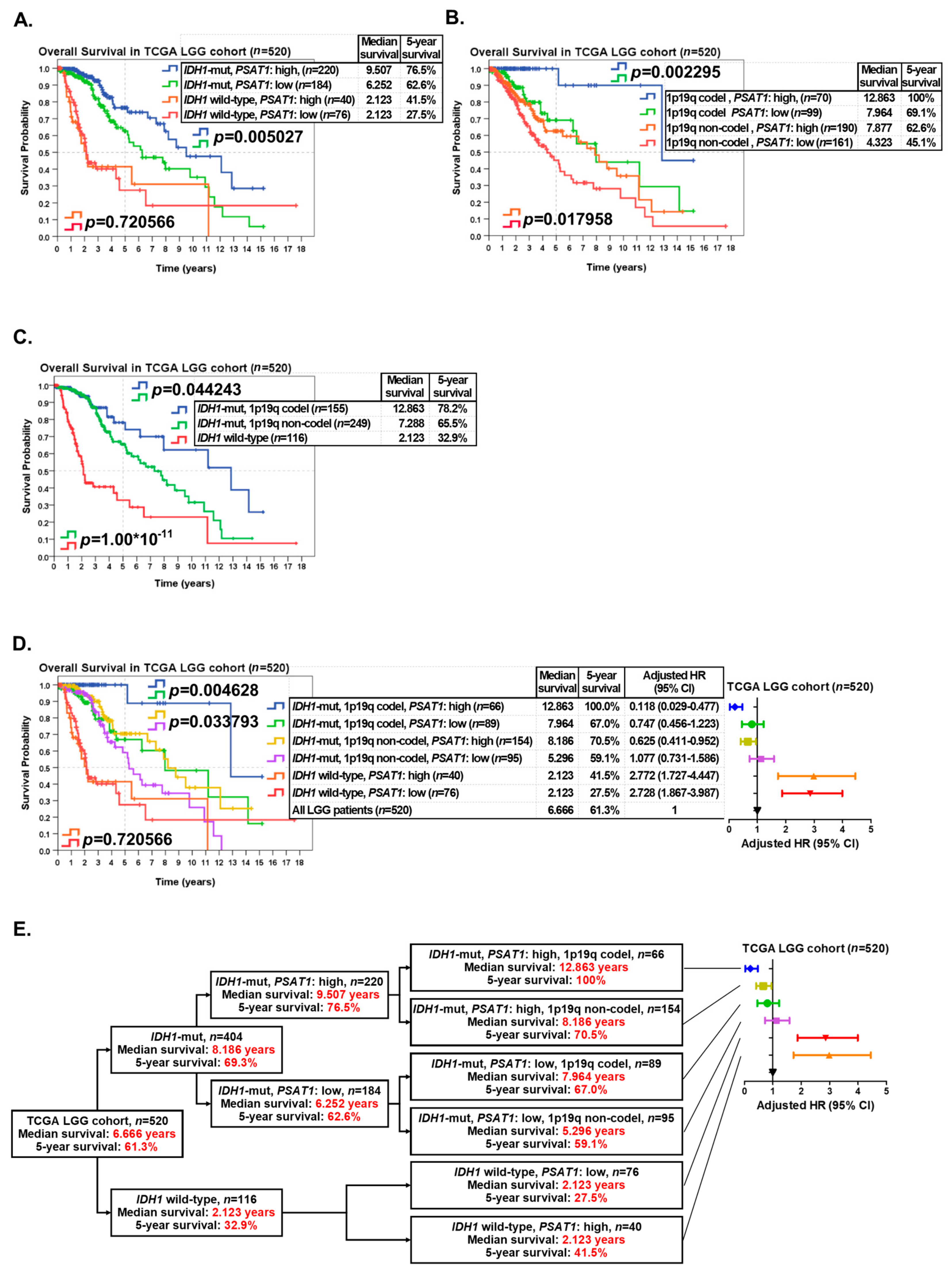 Cancers 12 00013 g003 Cancers 12 00013 g003