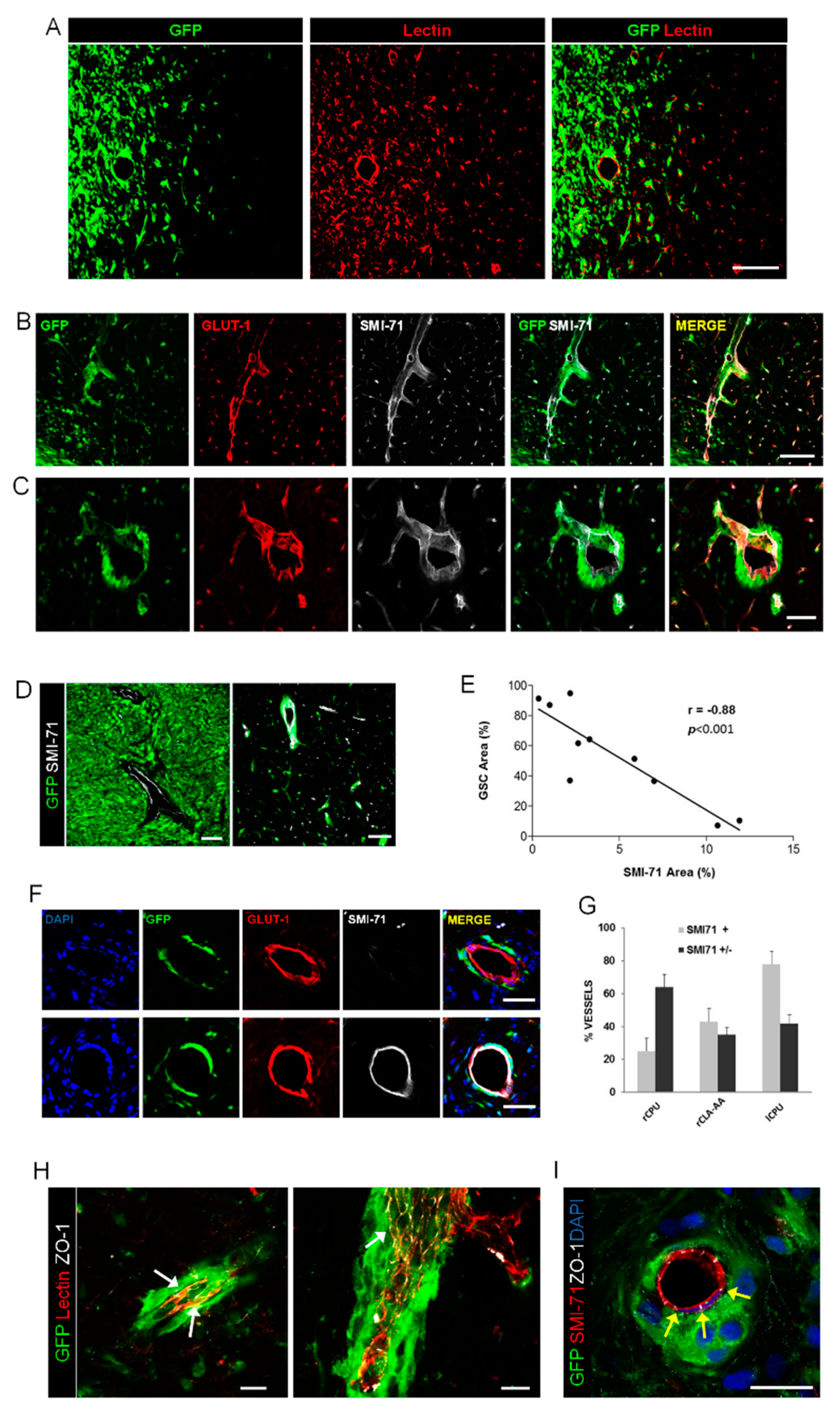 Cancers 12 00018 g001