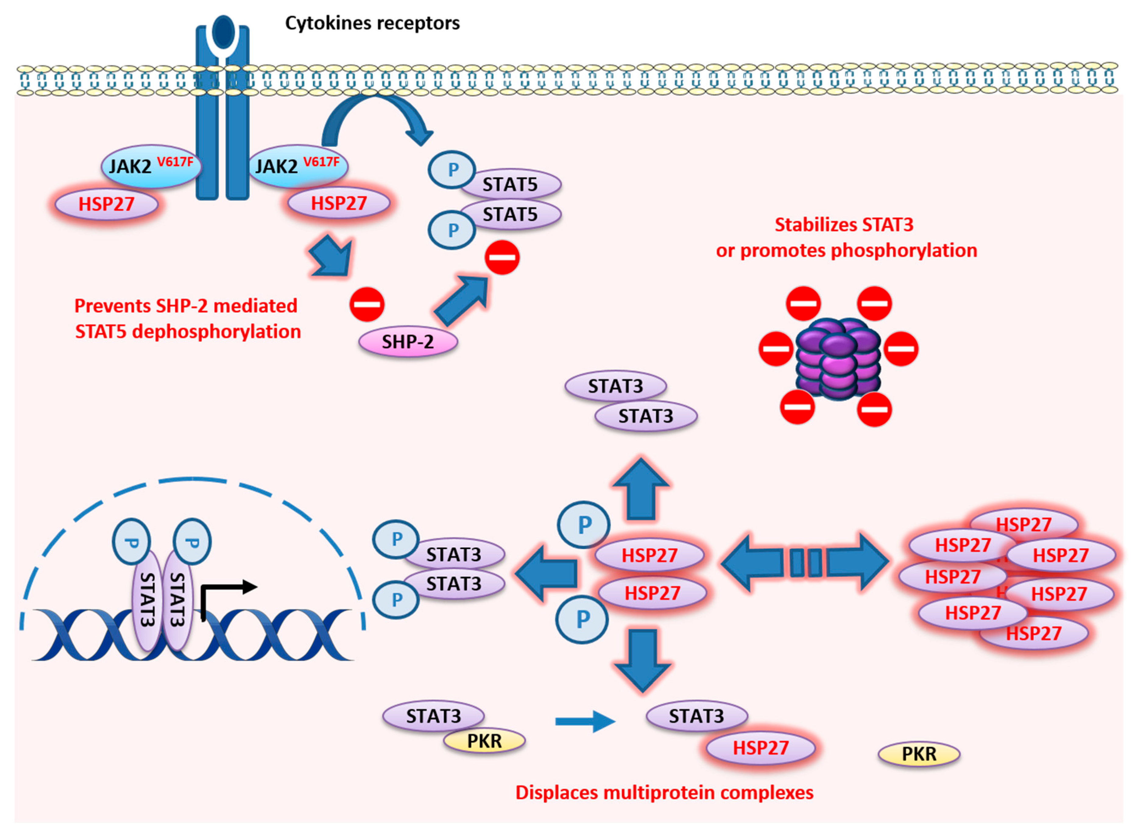 Cancers 12 00021 g003 Cancers 12 00021 g003