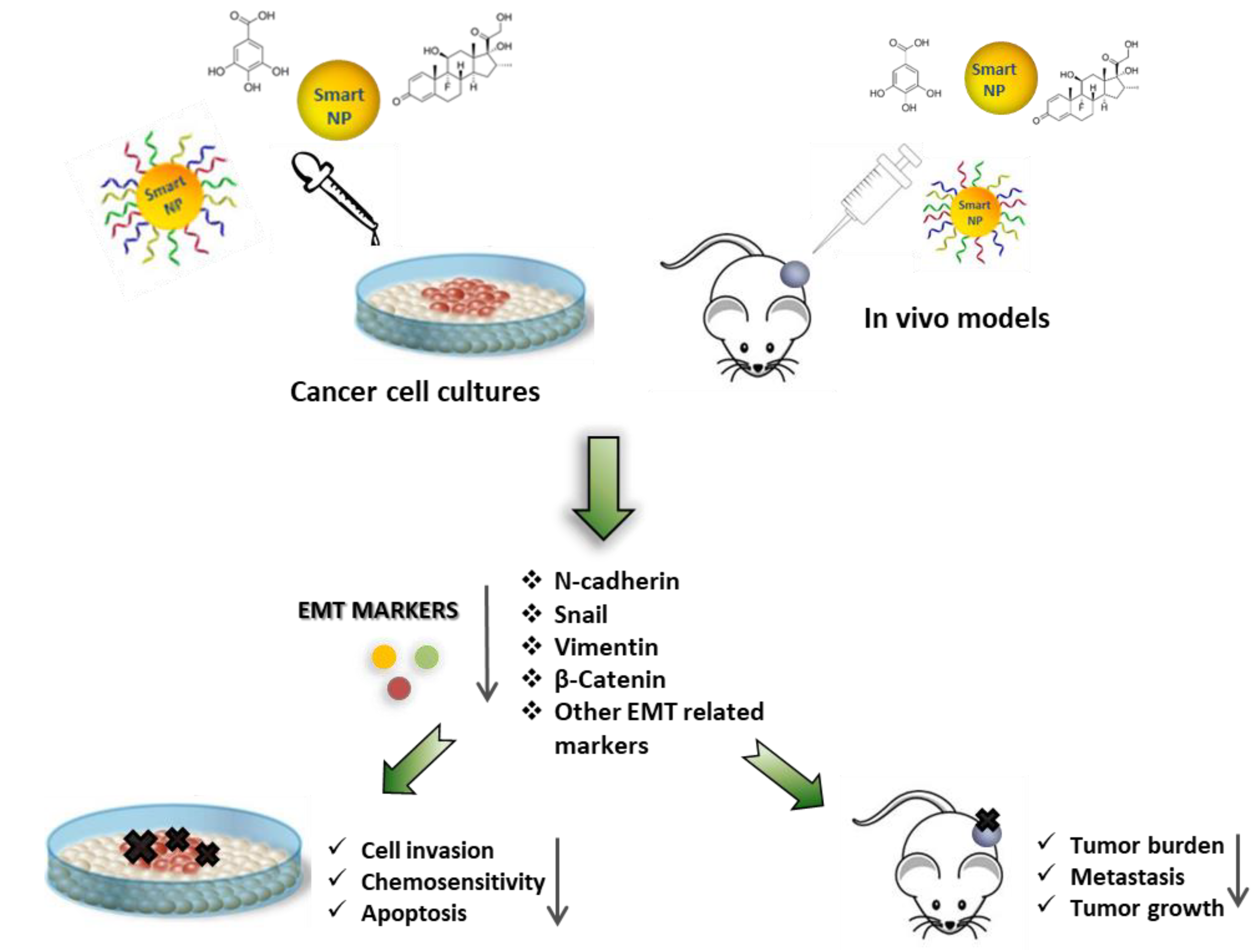 Cancers 12 00025 g005 Cancers 12 00025 g005