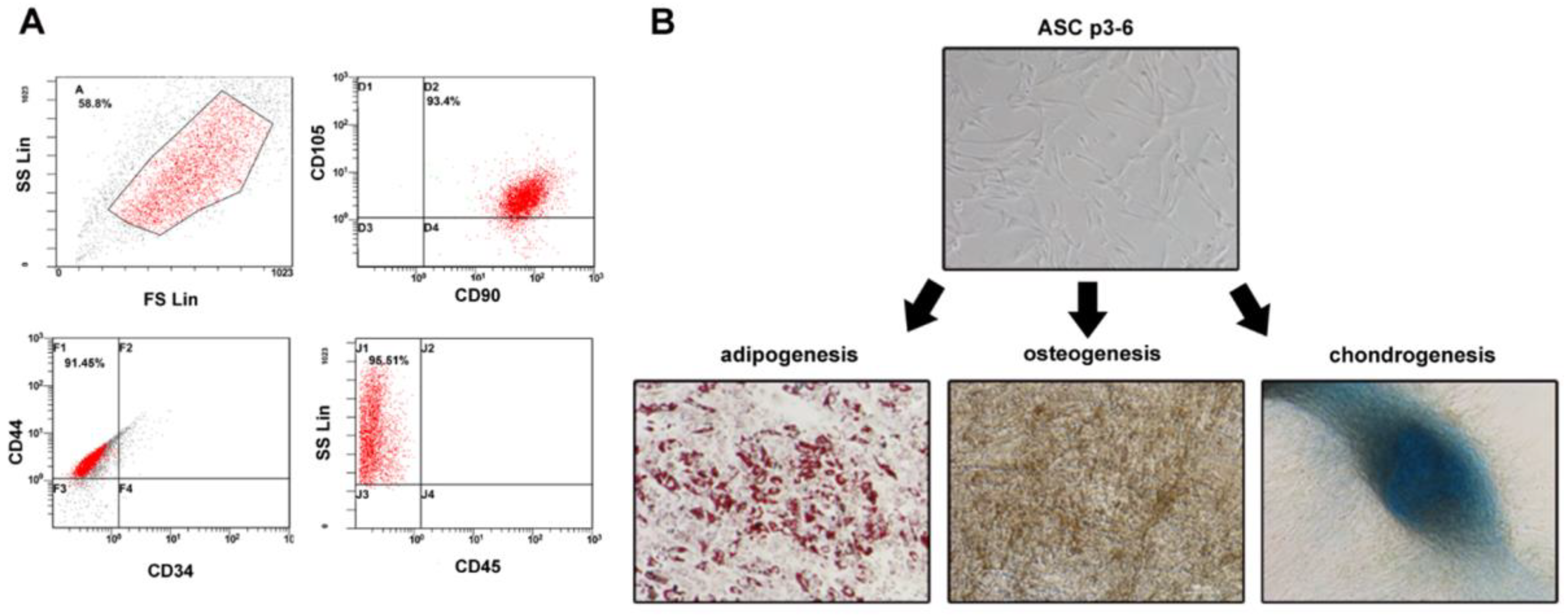 Cancers 12 00029 g001