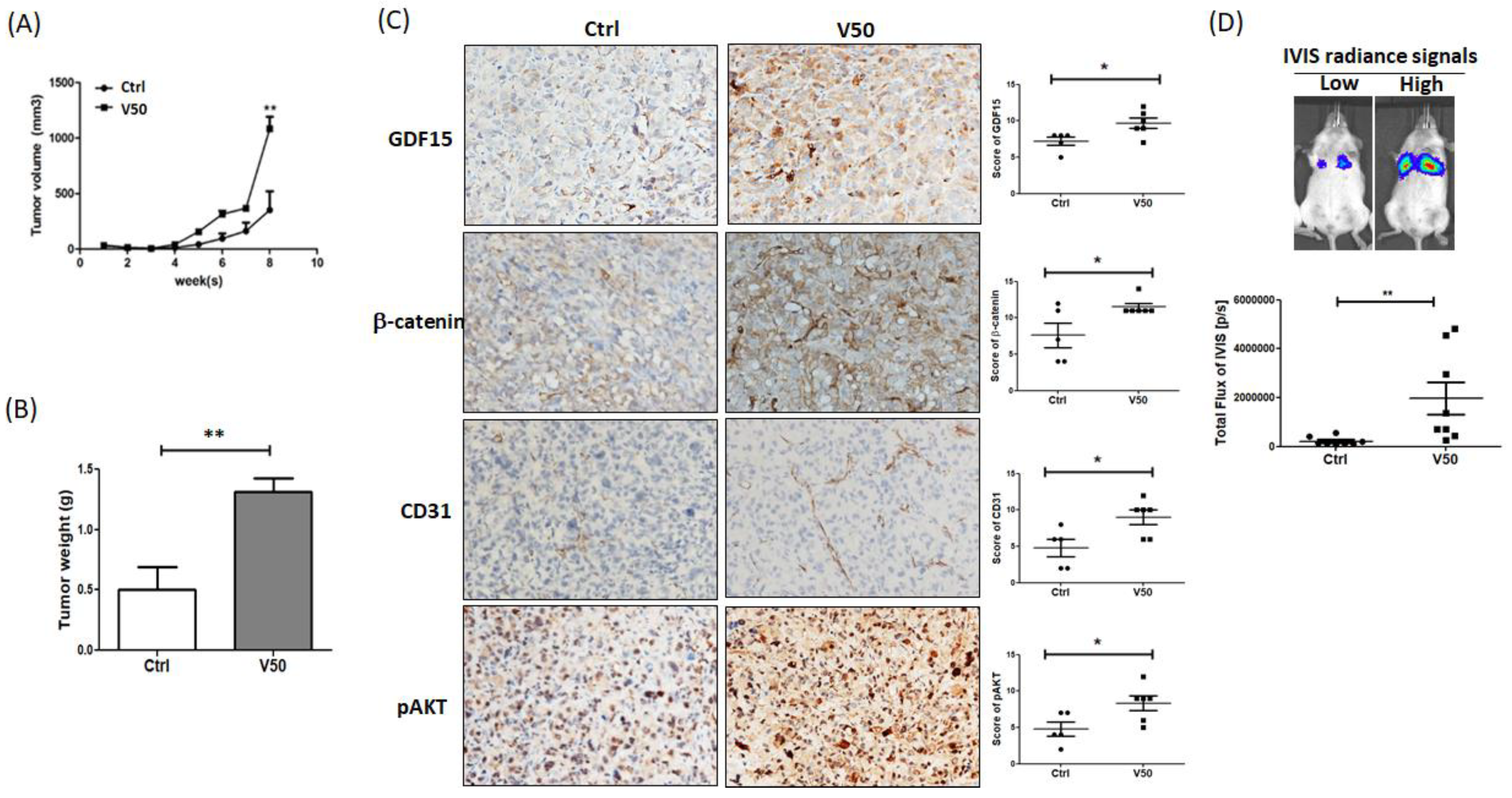 Cancers 12 00029 g005