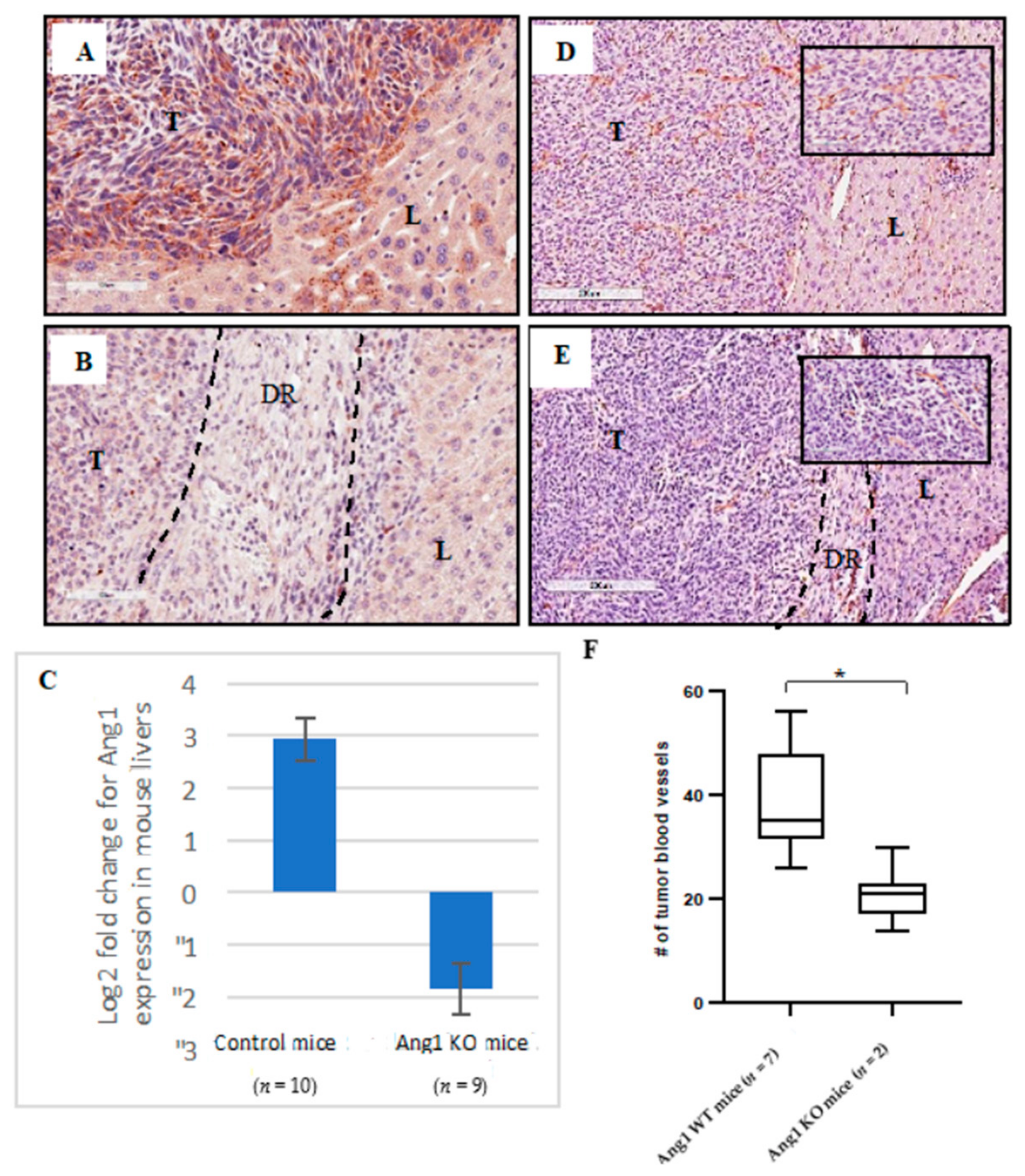 Cancers 12 00035 g005