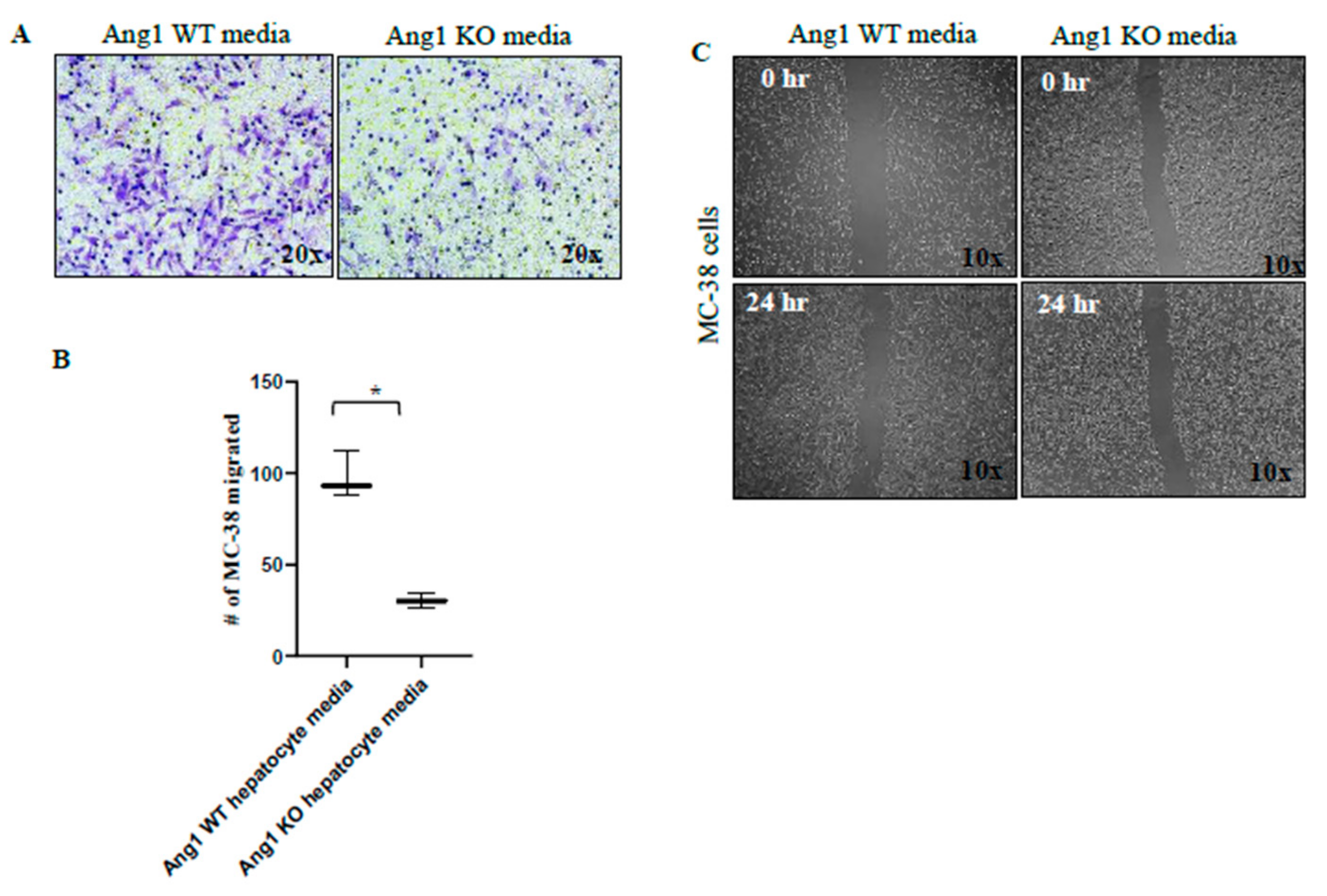 Cancers 12 00035 g007