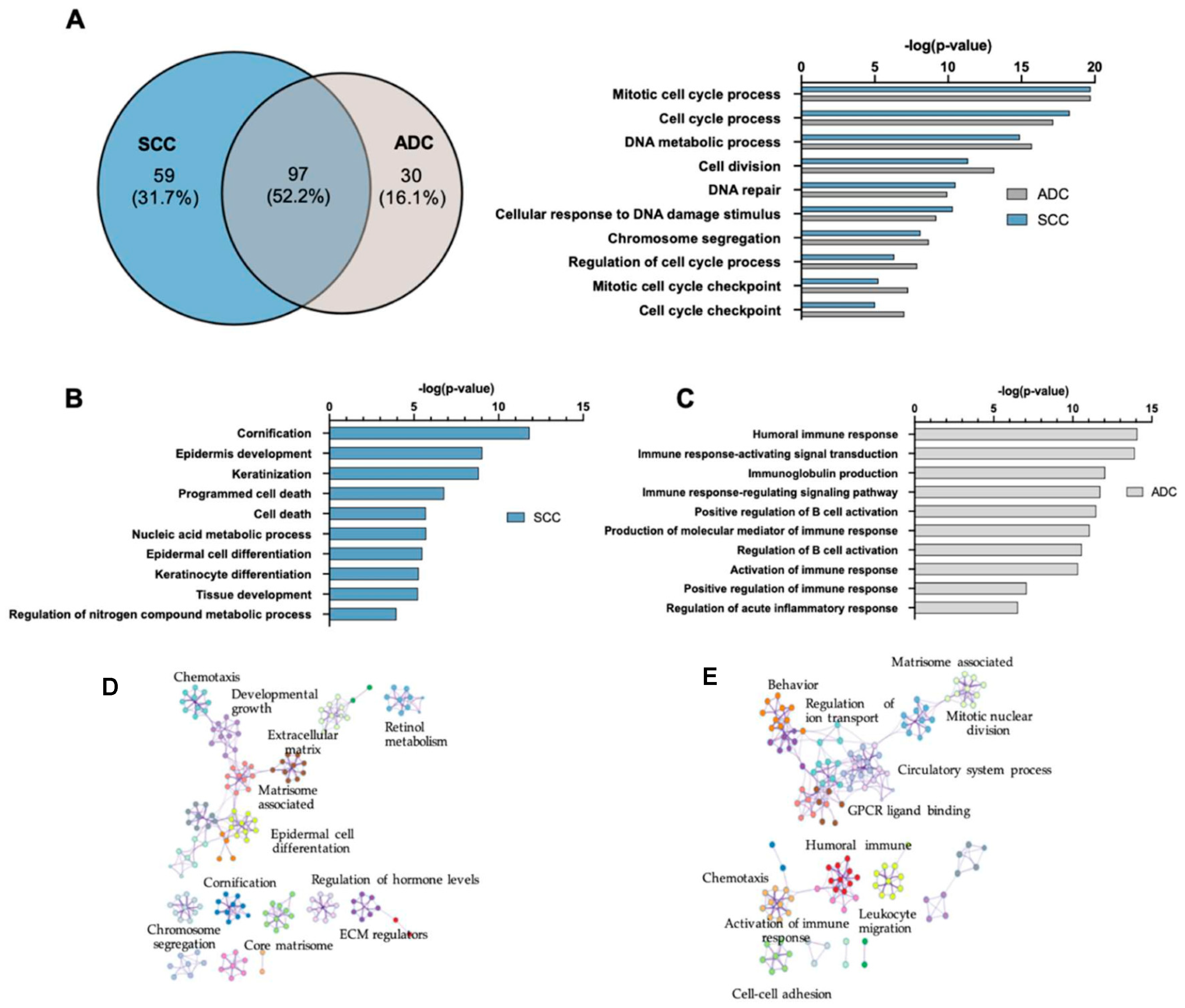 Cancers 12 00037 g003
