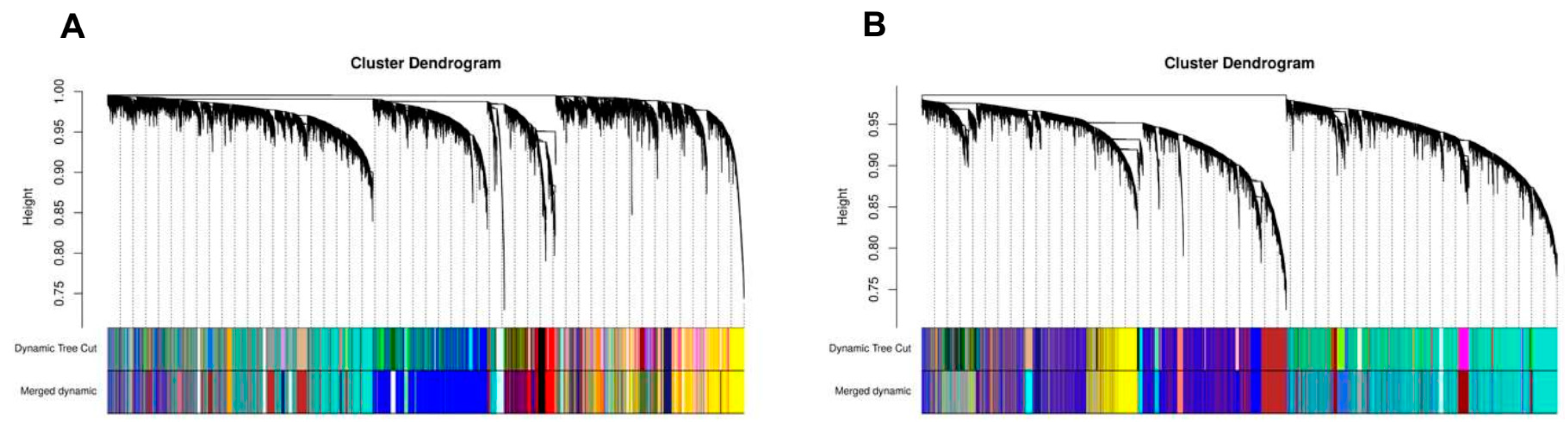 Cancers 12 00037 g007