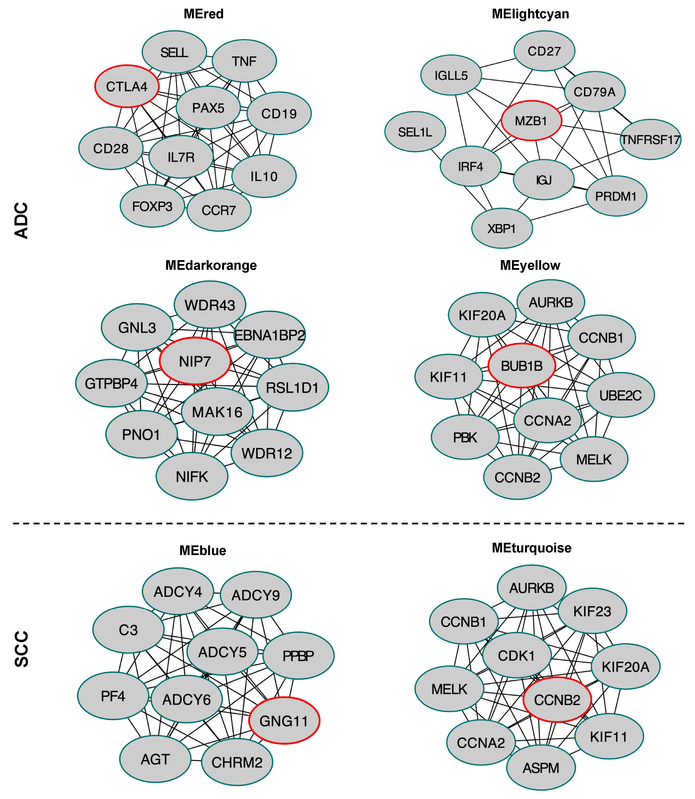 Cancers 12 00037 g011