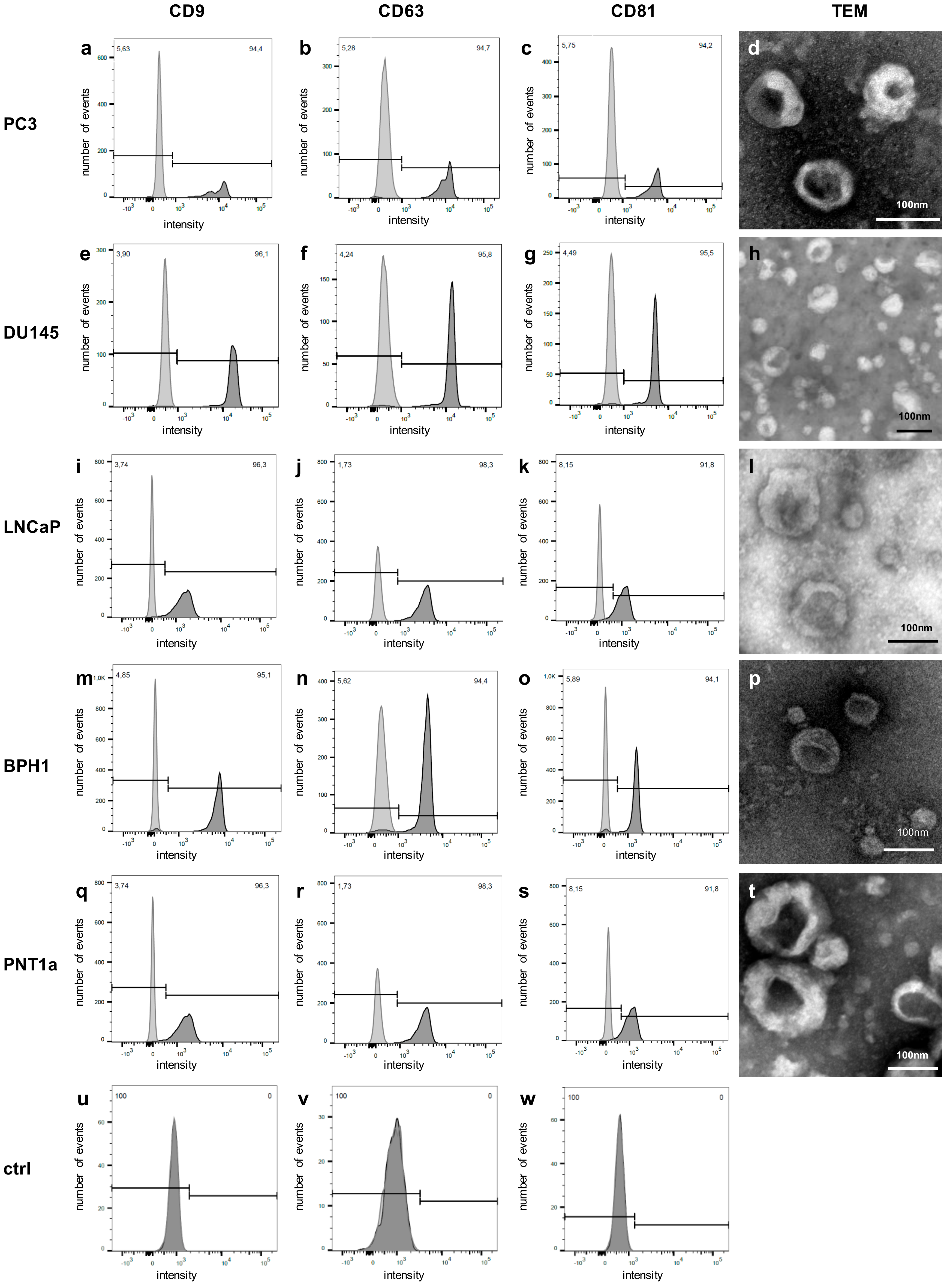 Cancers 12 00043 g004 Cancers 12 00043 g004