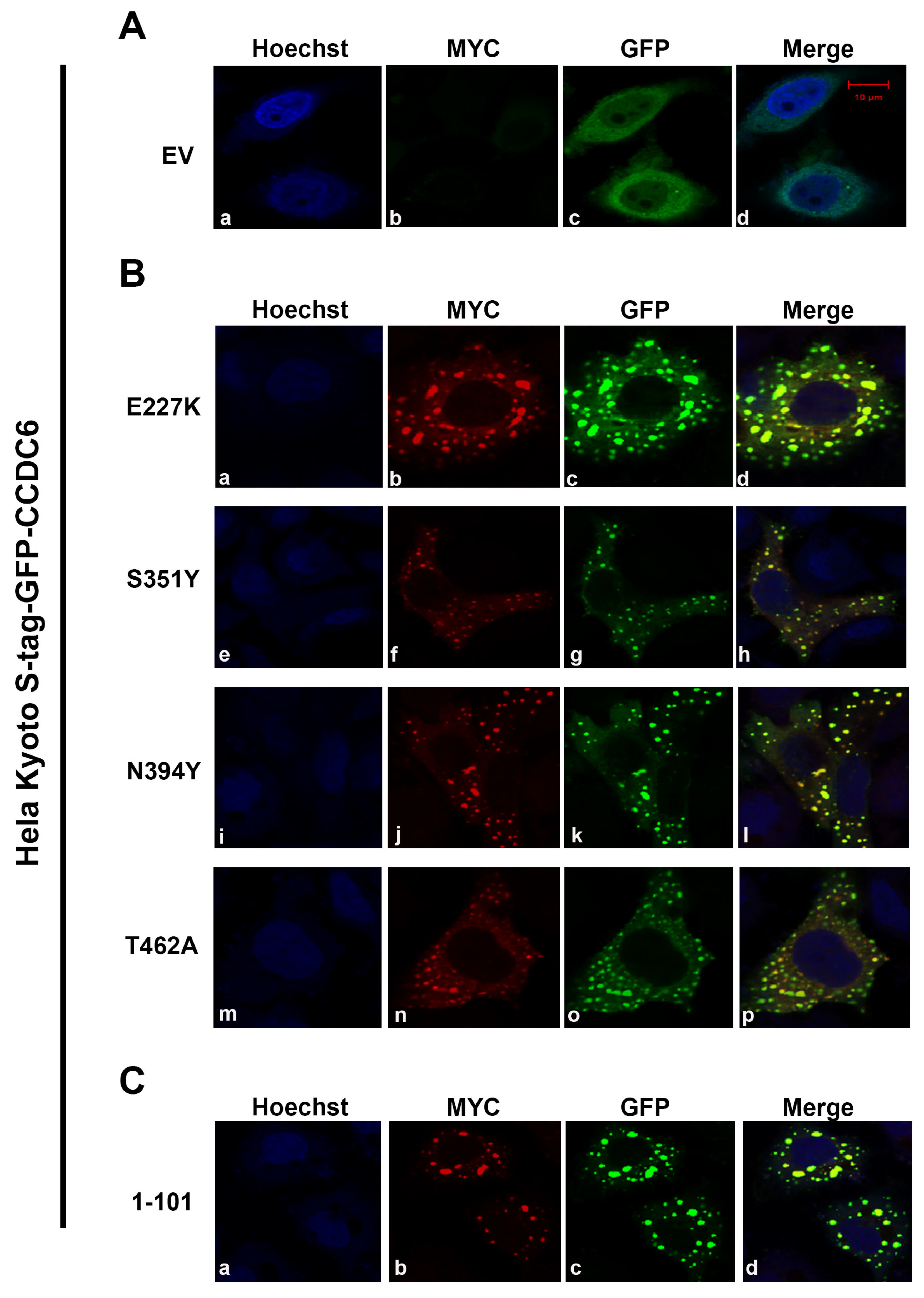 Cancers 12 00044 g002 Cancers 12 00044 g002