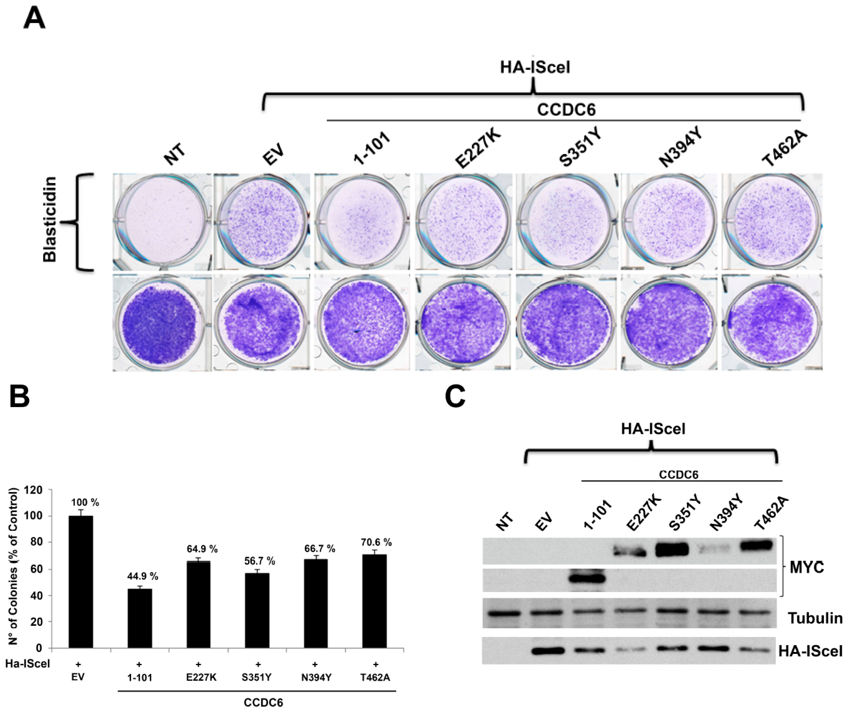 Cancers 12 00044 g003 Cancers 12 00044 g003