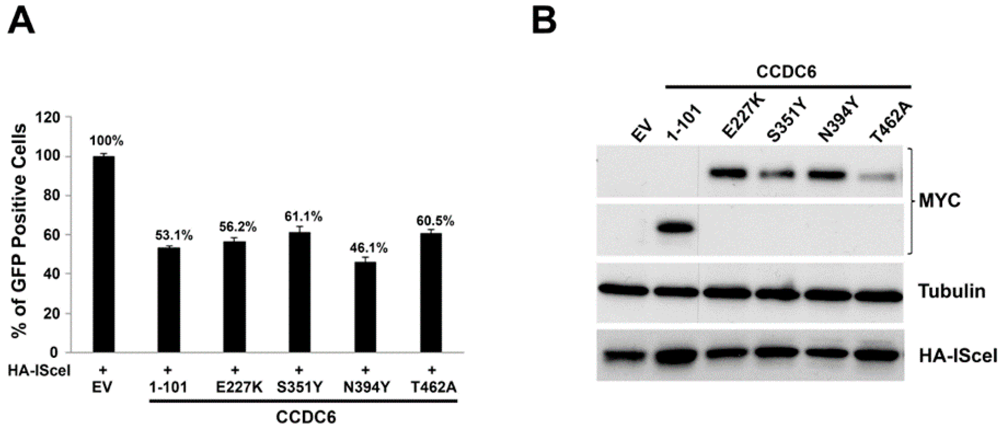 Cancers 12 00044 g004 Cancers 12 00044 g004